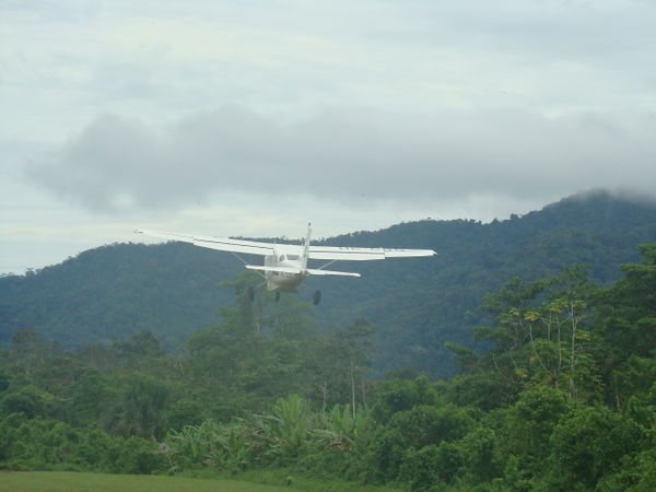 Yaupi
