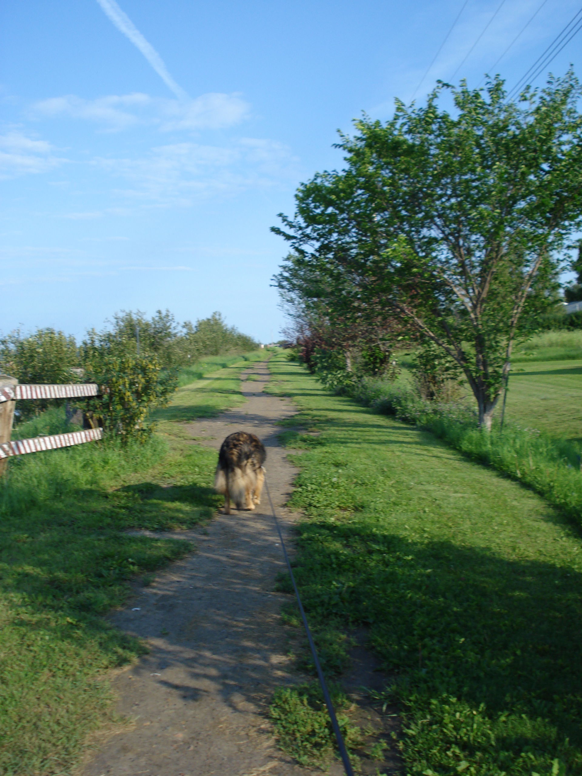 walking trail around Fort Simpson