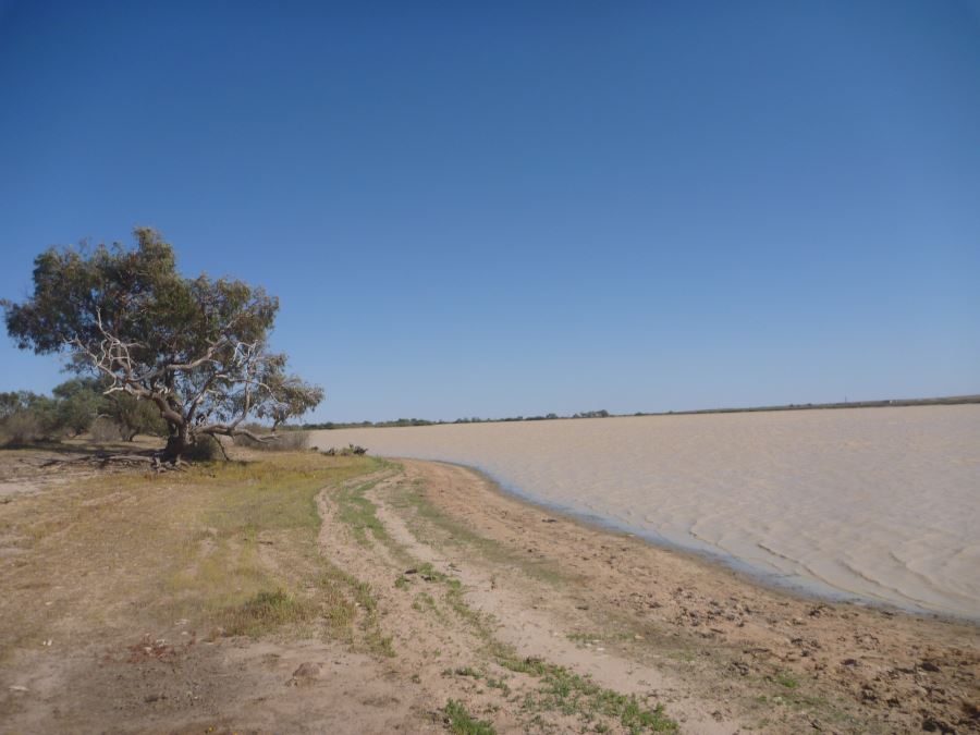The edge of Thundapurty Waterhole on the Diamantina River in th…