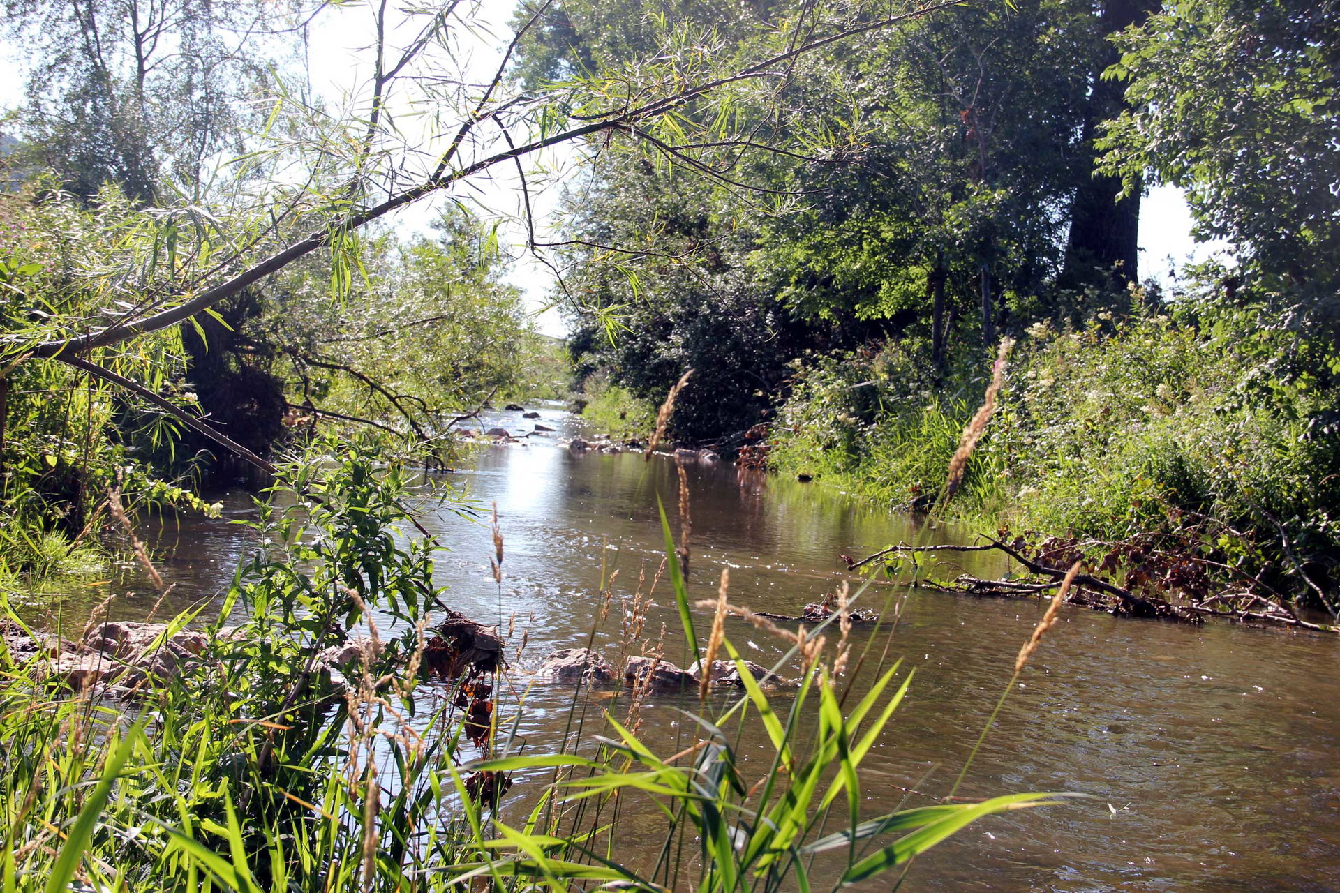 Fluss Eger (Wörnitz) bei Bopfingen