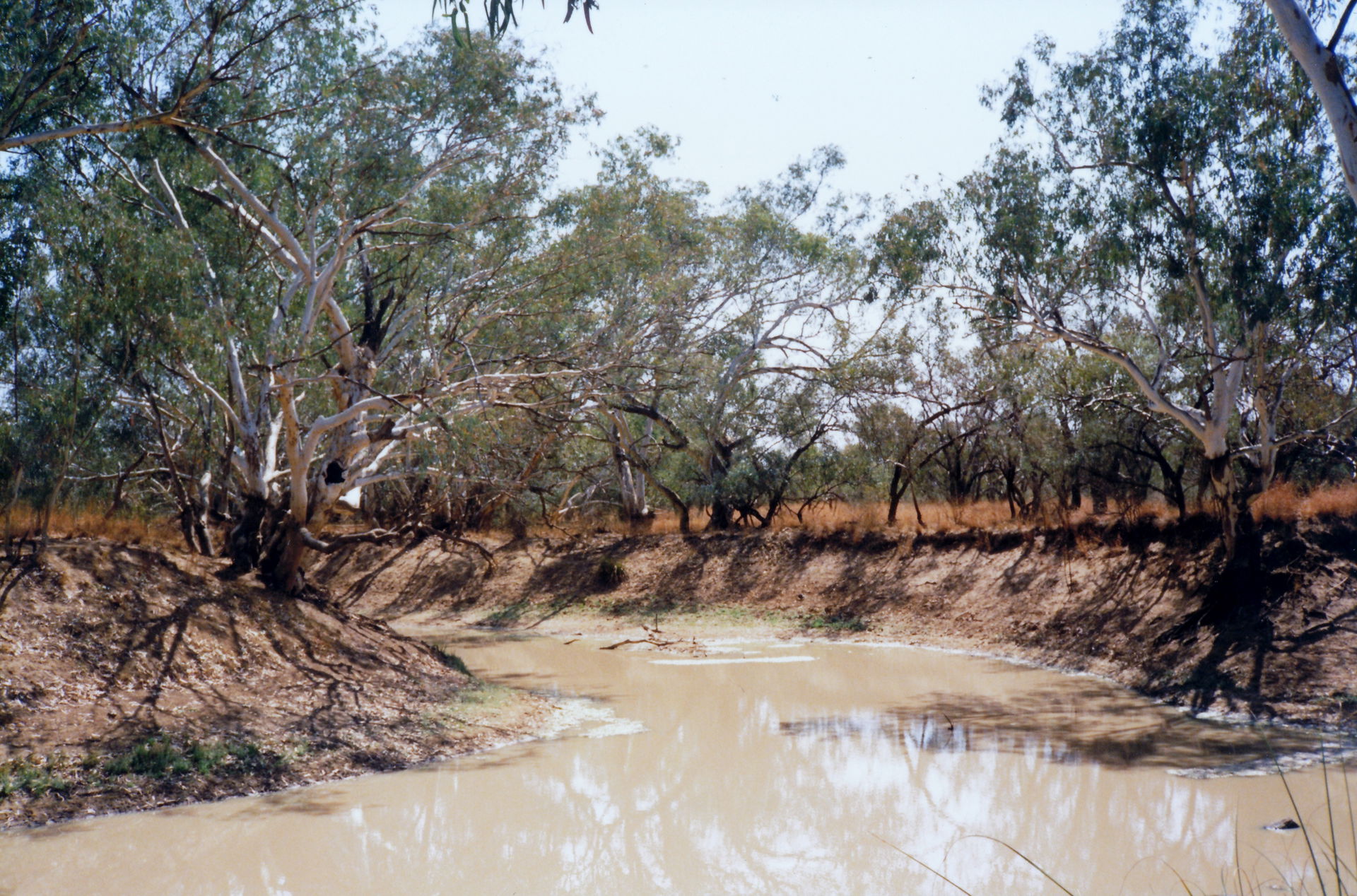 Thargomindah, Queensland is a town and locality in the Shire of…