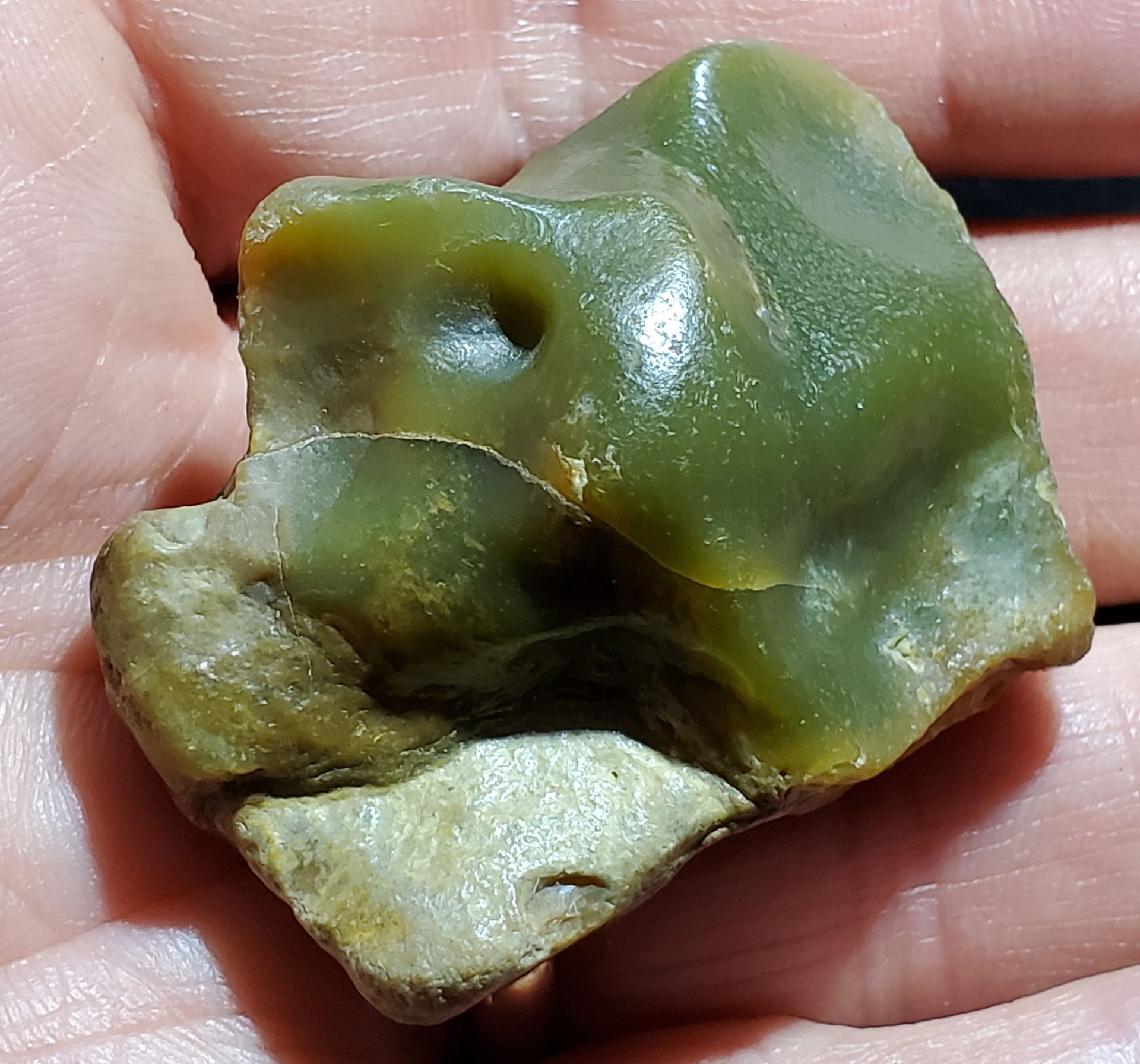Opalized Fort Hays Limestone from upper Kansas River gravel.