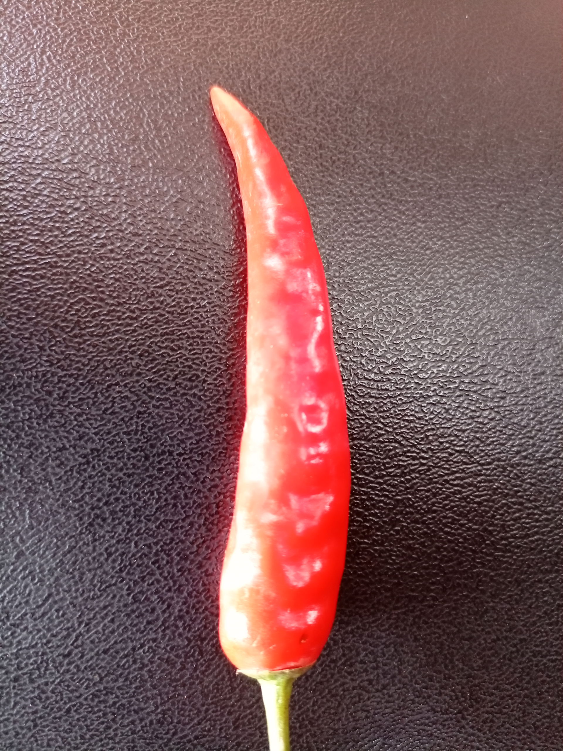 Piment de ouassa