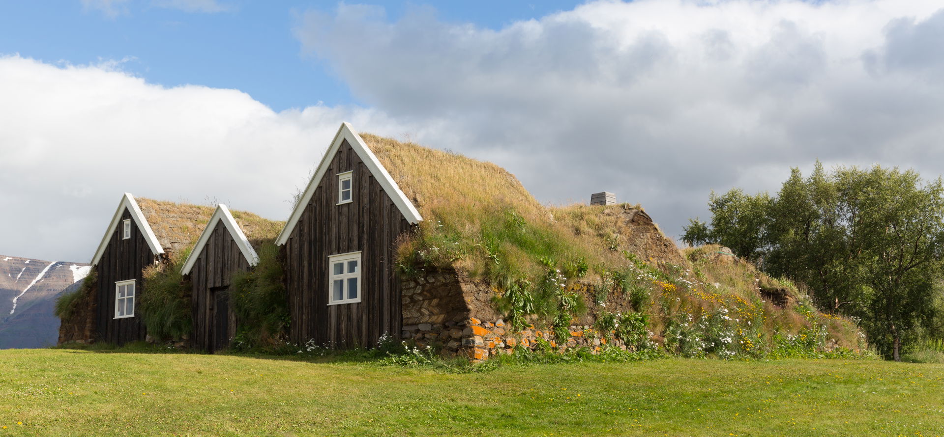 Turf house - Holar