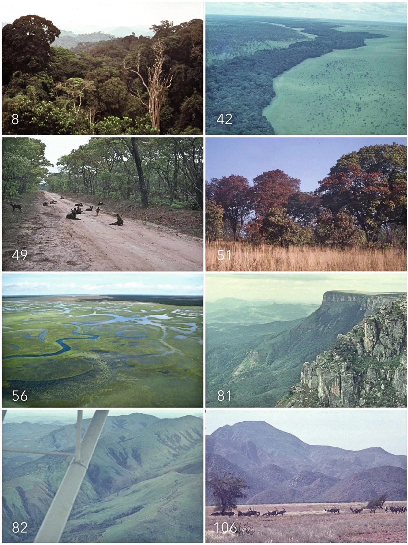 Examples of some of the Ecoregions of Angola with numbering as …