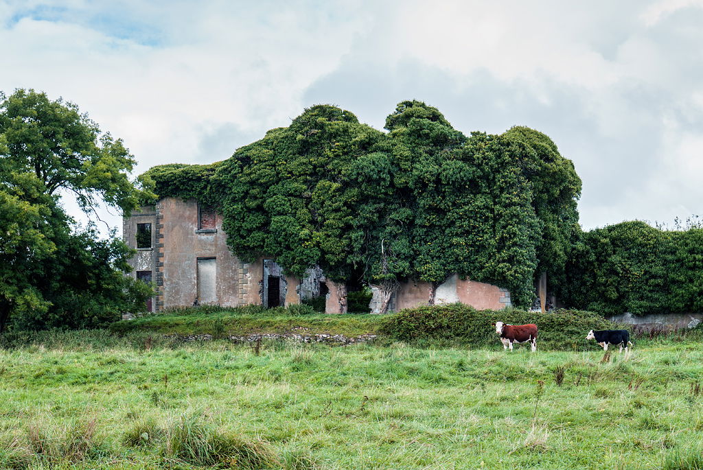 Ireland in Ruins Pt III: Ballynagarde House, Co. Limerick