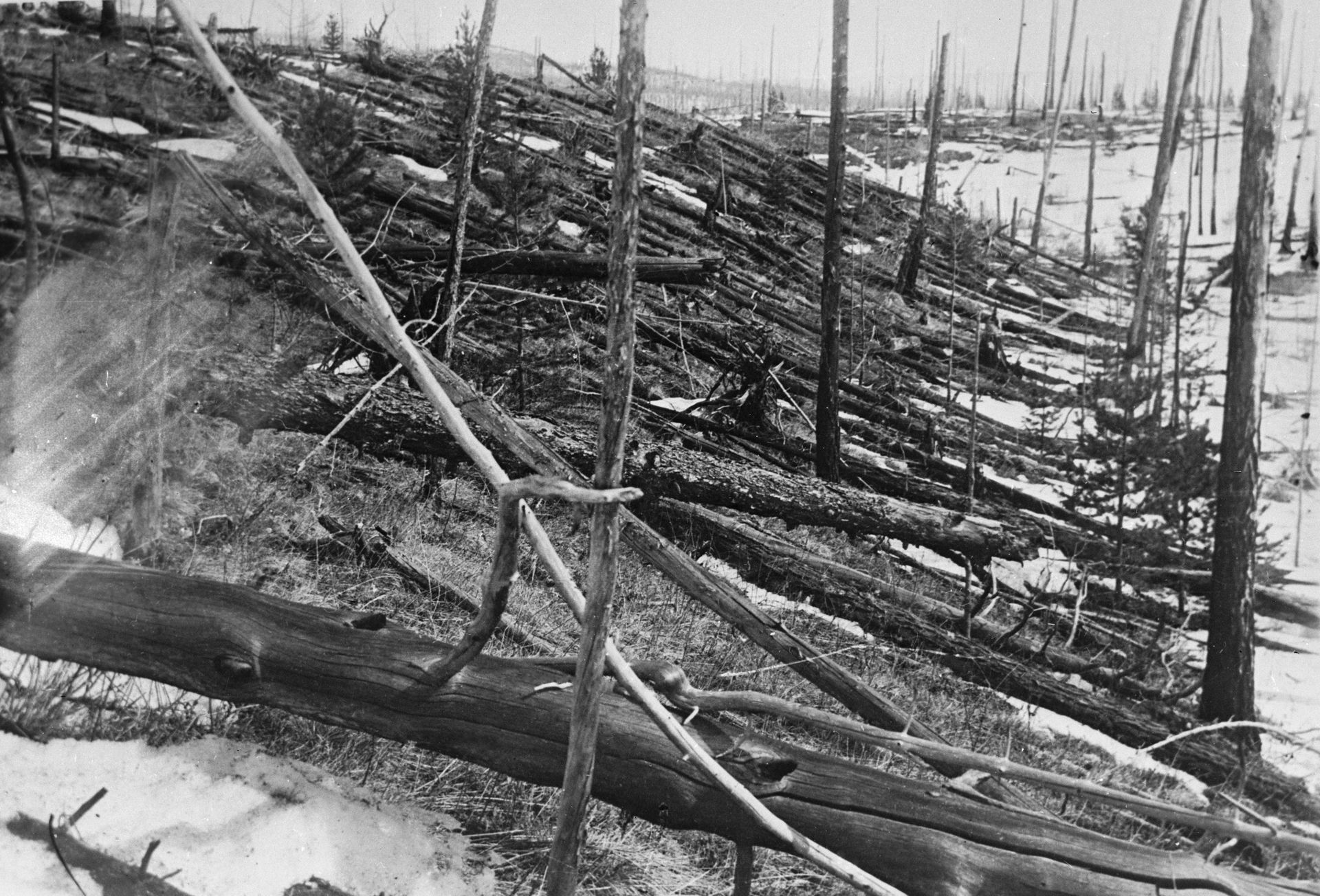 Tunguska event. Trees were knocked down and burned over hundred…