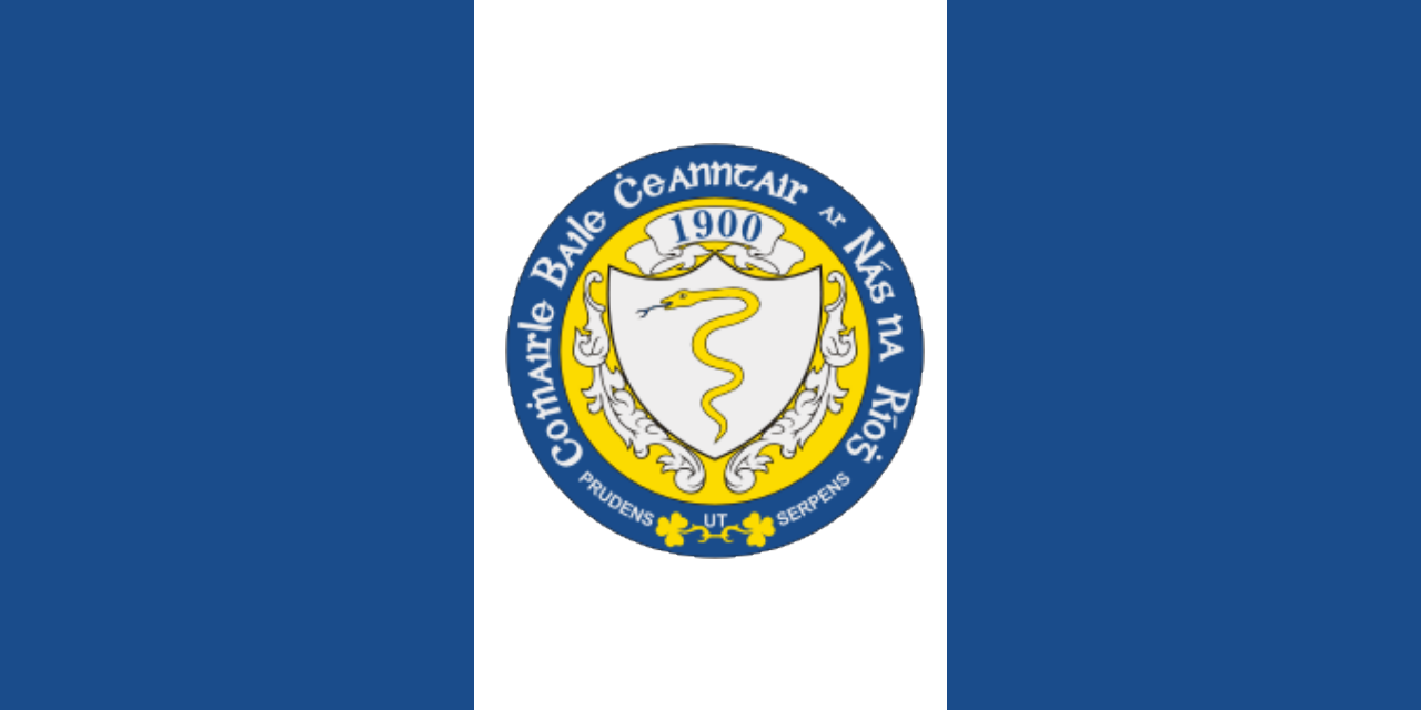 The arms of Naas on a flag.