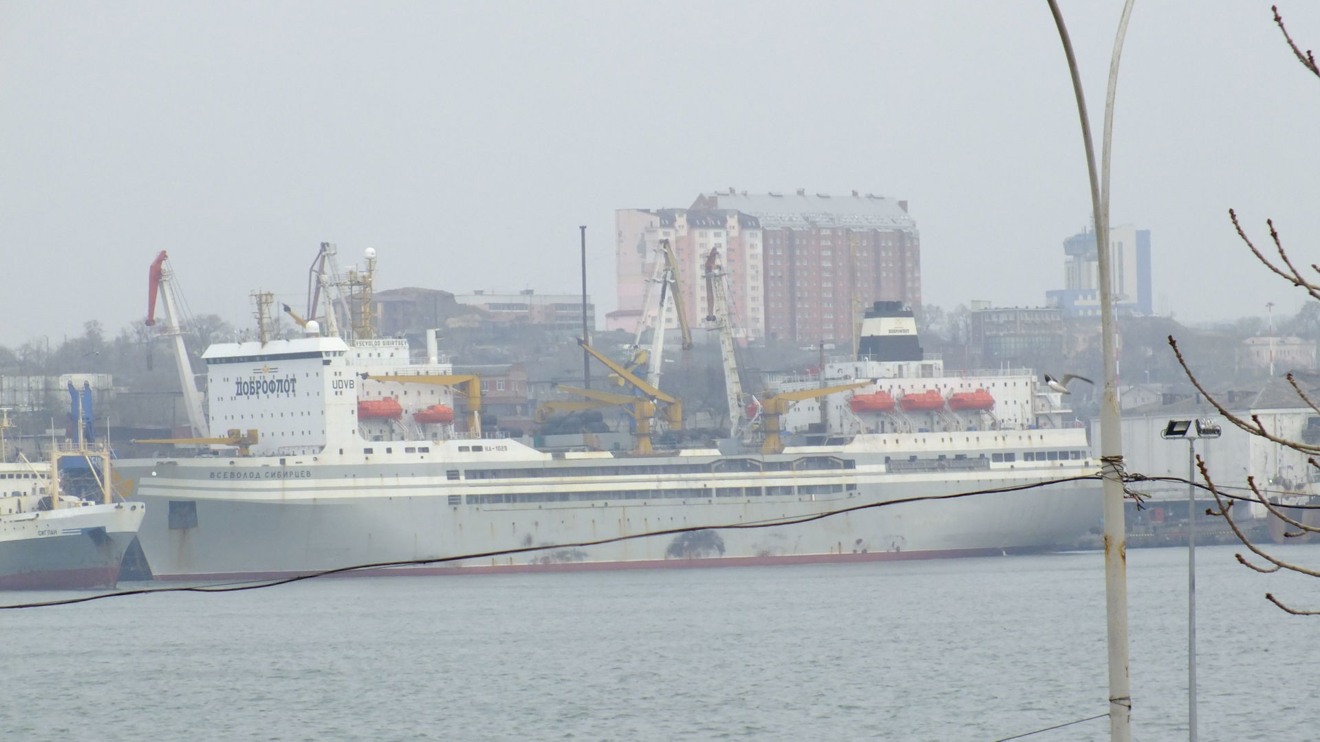 Ships in Vladivostok (V-0668 Siglan (left), ND-1029 Vsevolod Si…