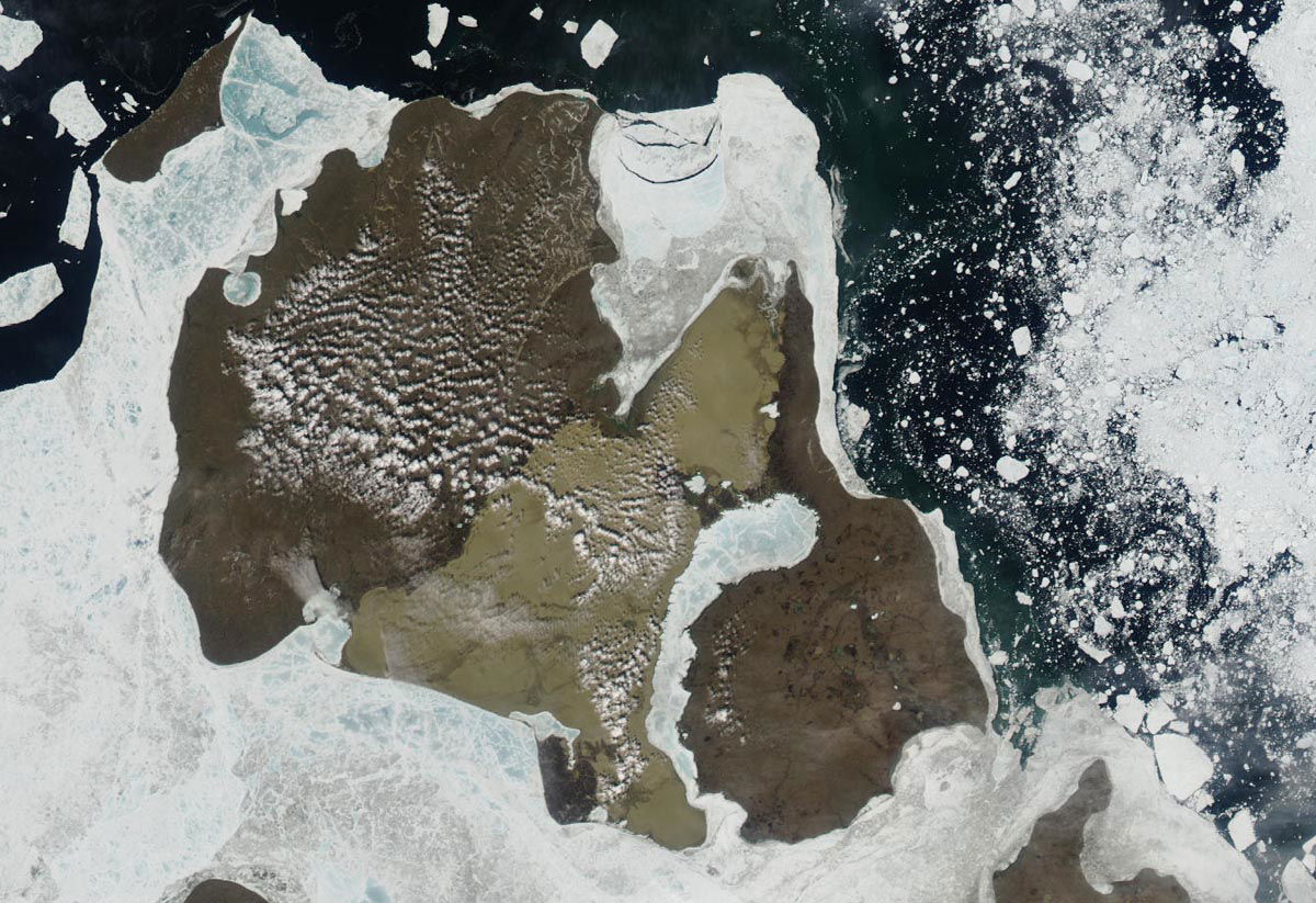 Aqua MODIS satellite image of Kotelnyy and Faddeyevsky Island, …