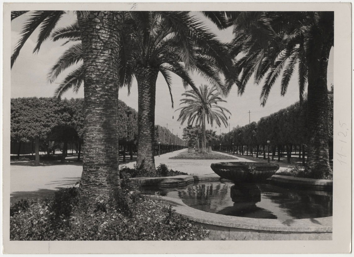 View of the public gardens of Foggia.
