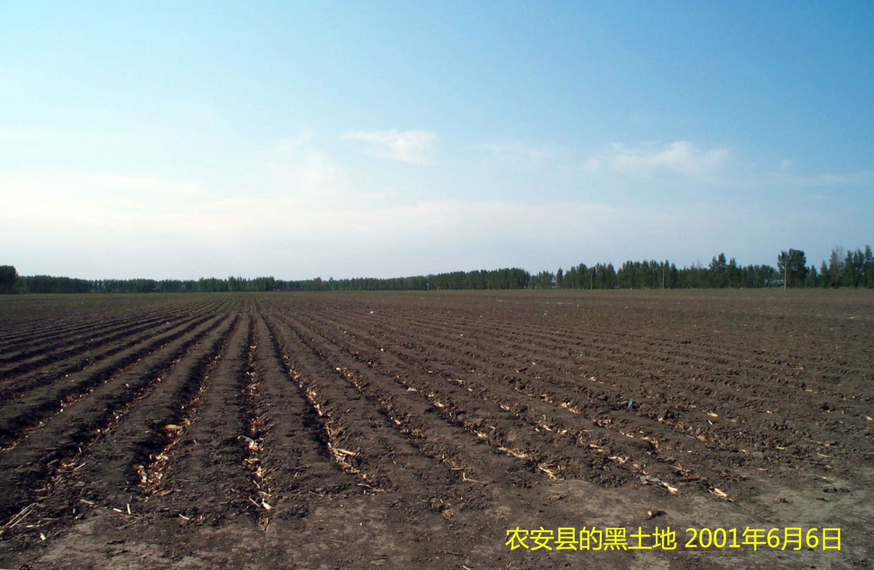 农安县 黑土地 black soil