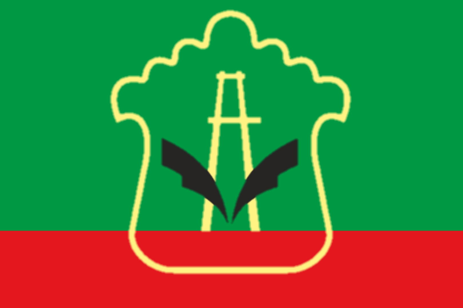 The official flag of Almetyevsk