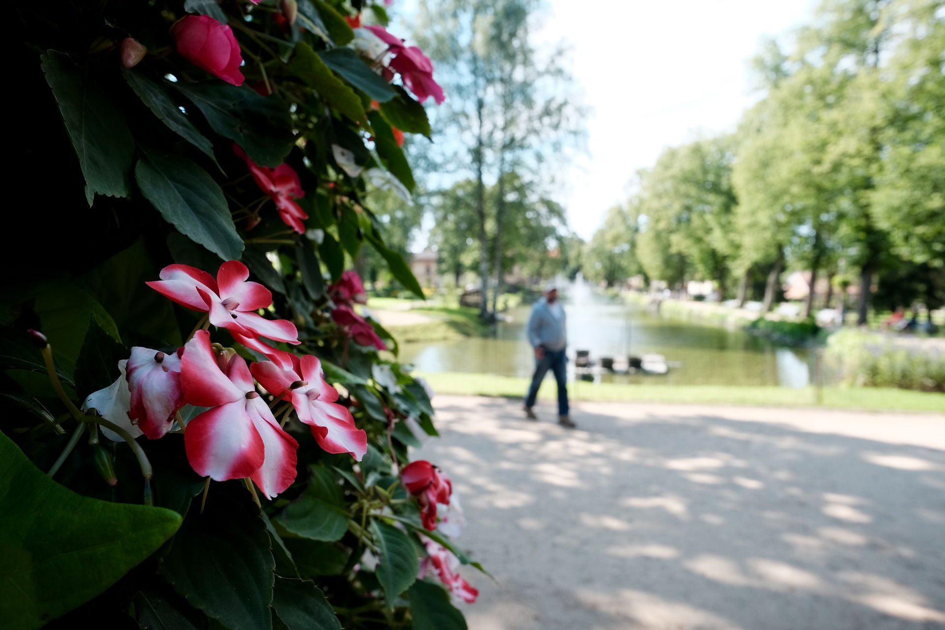 Cēsis