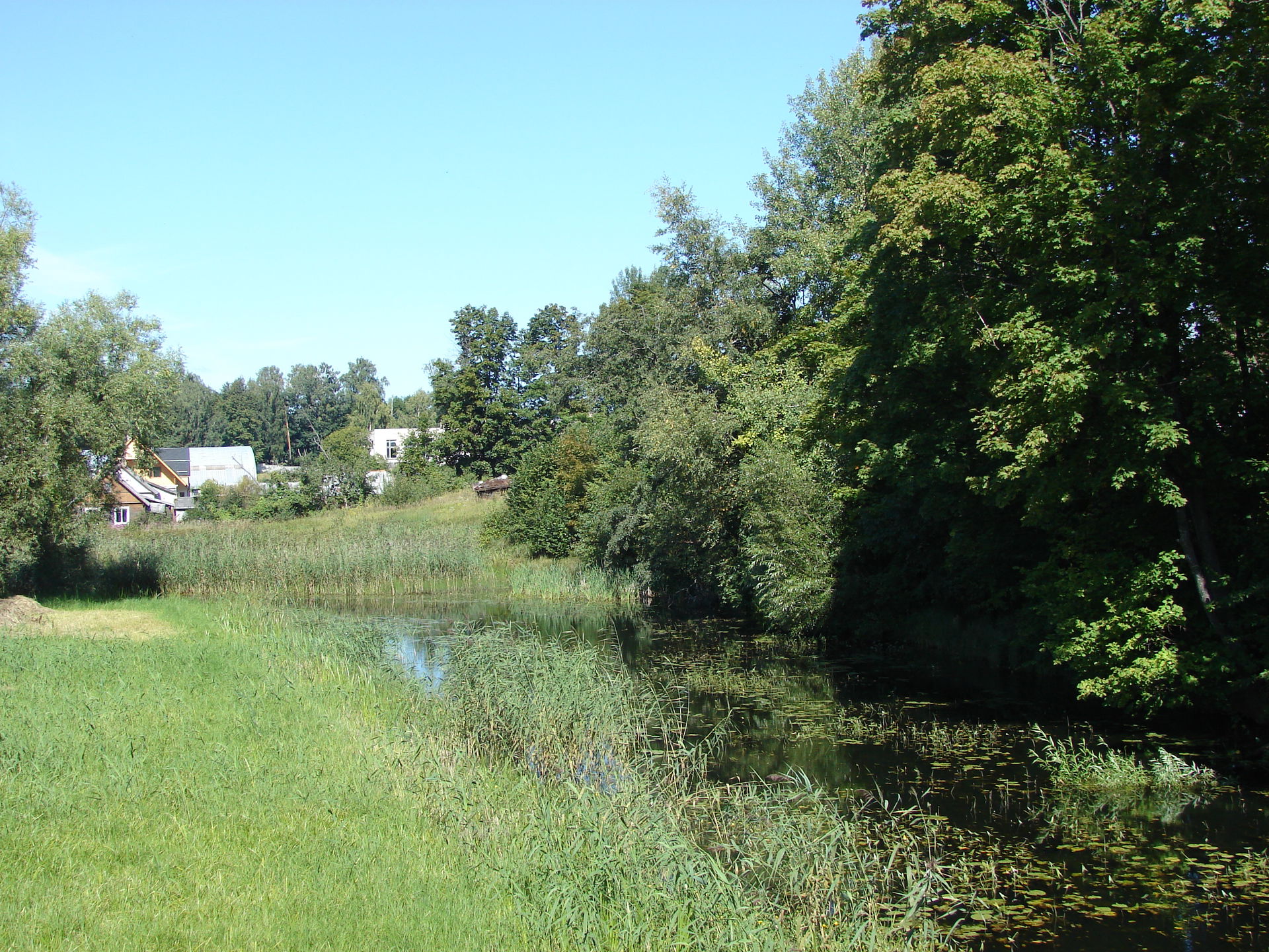 Narūta, Dagda, Dagdas novads, Latvia