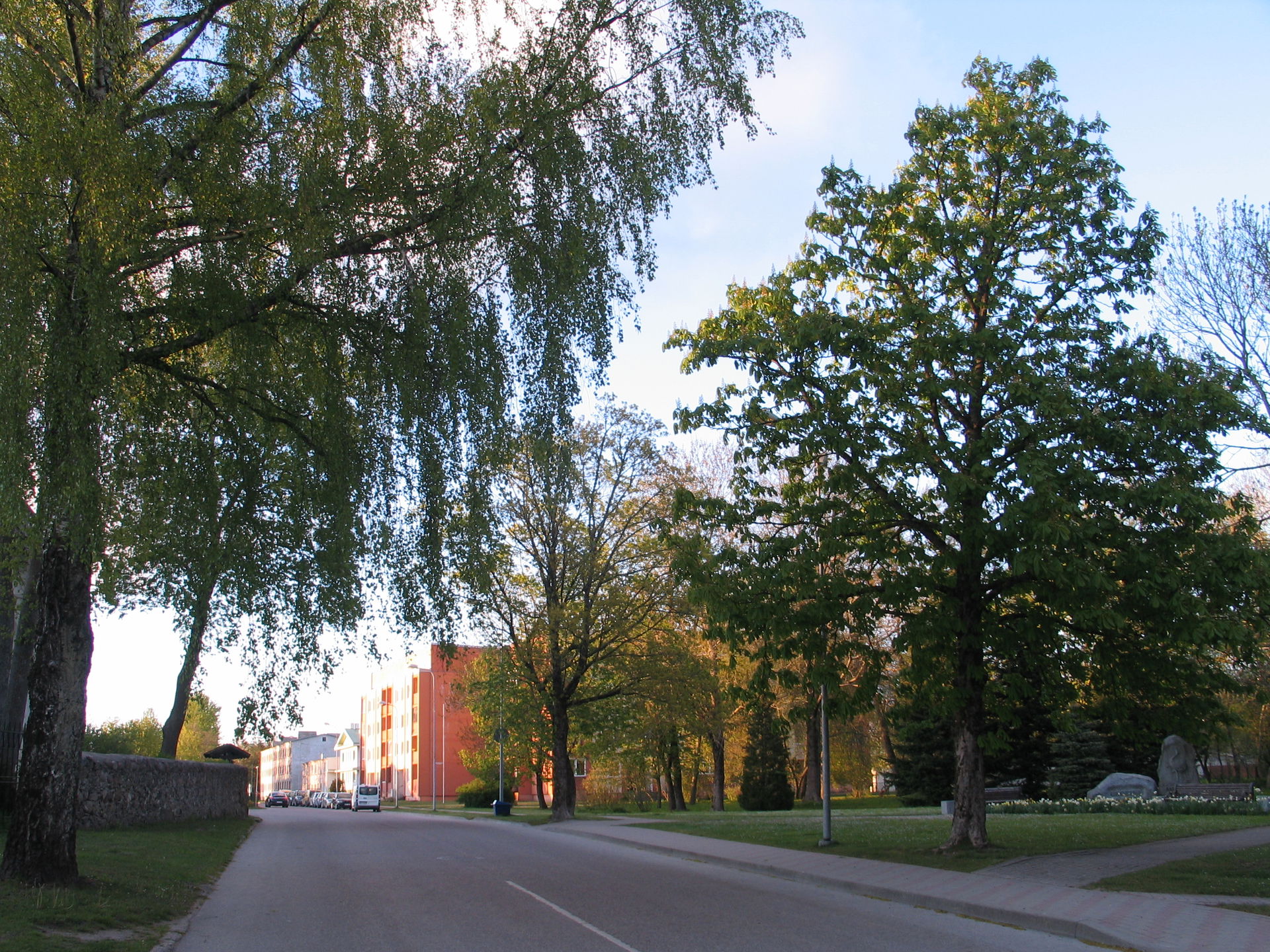Priežu (Pine) Street in Grobiņa