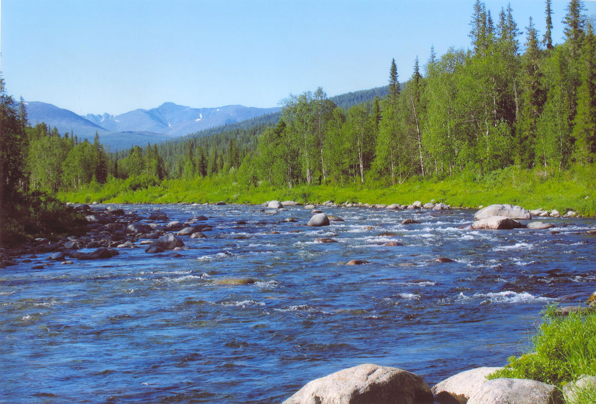 River near the village Saranpaul, Khanty-Mansia, Russiarivers2