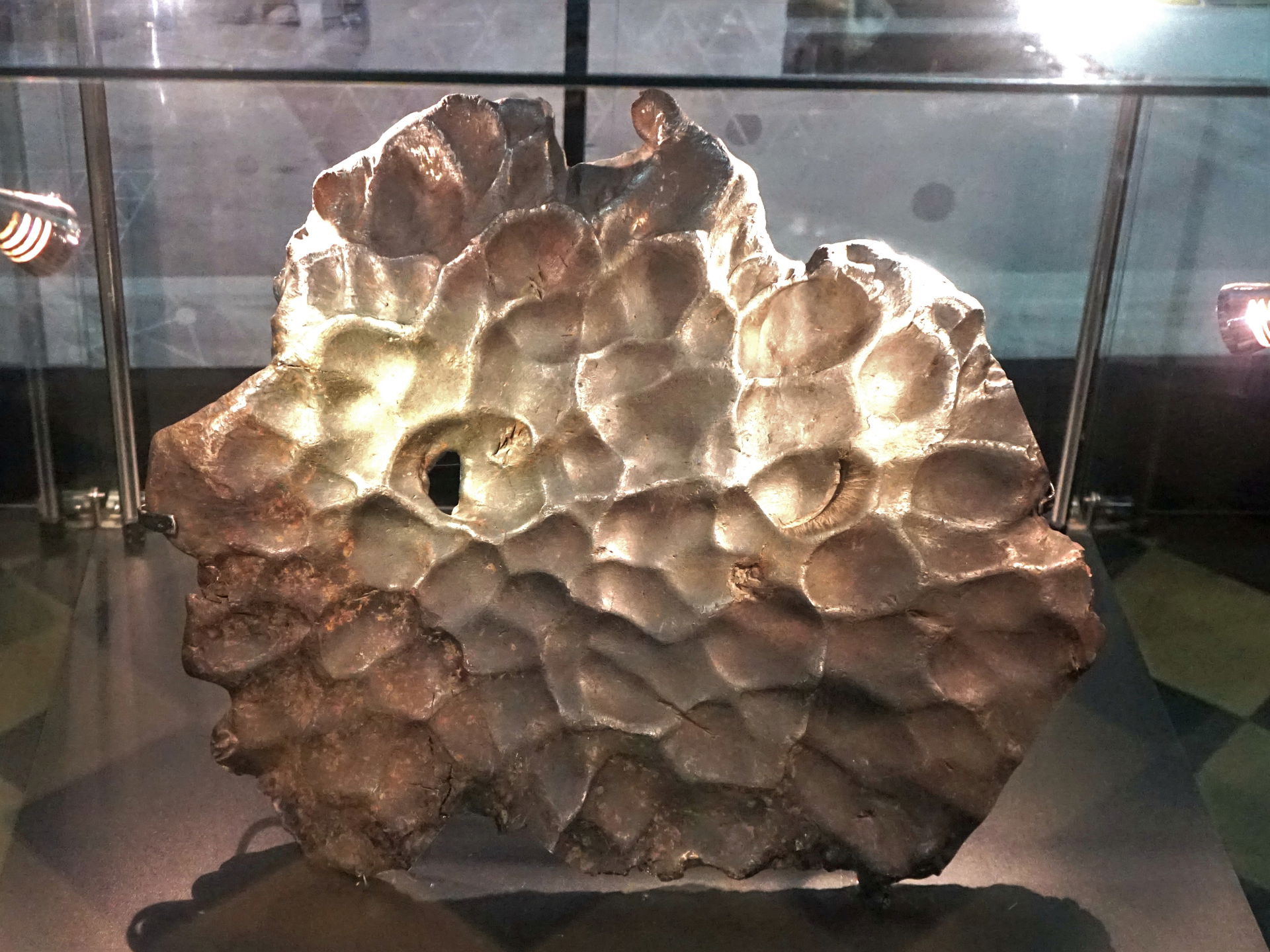 Ust-Nyukzha Meteorite, Amur Regional Museum. Age:4.5 - 4.7 bill…