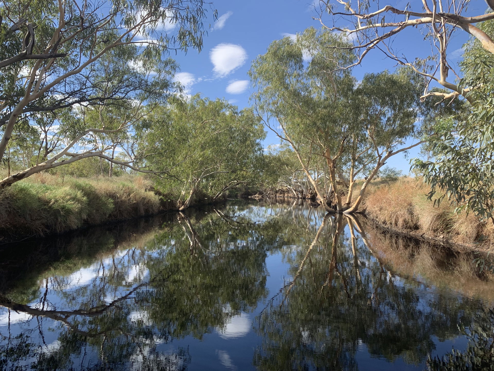 Tennant Creek also known as Jurnkkurakurr to Waramungu people.