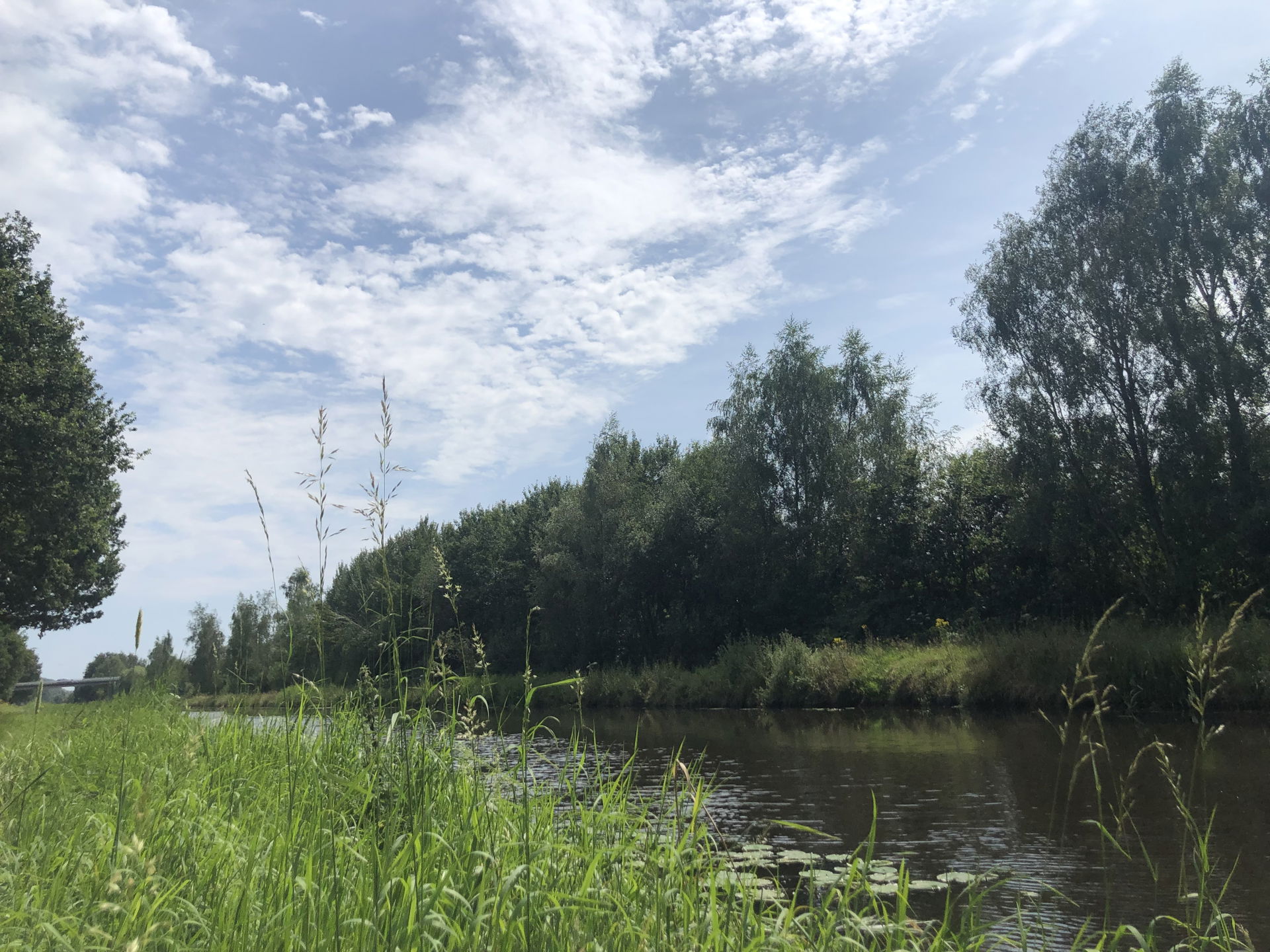 Dommel River