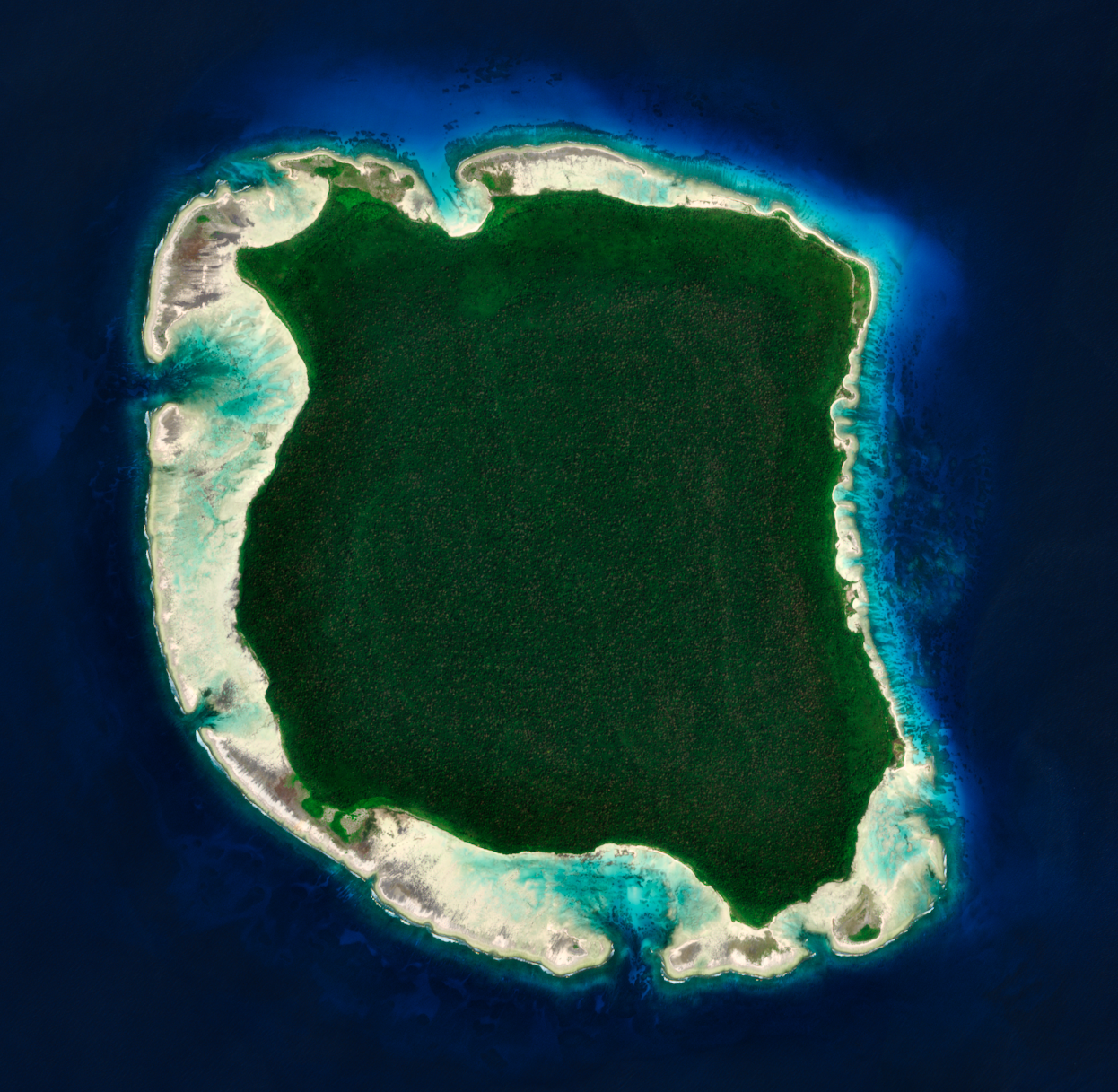 North Sentinel Island imaged by a Sentinel 2 satellite.