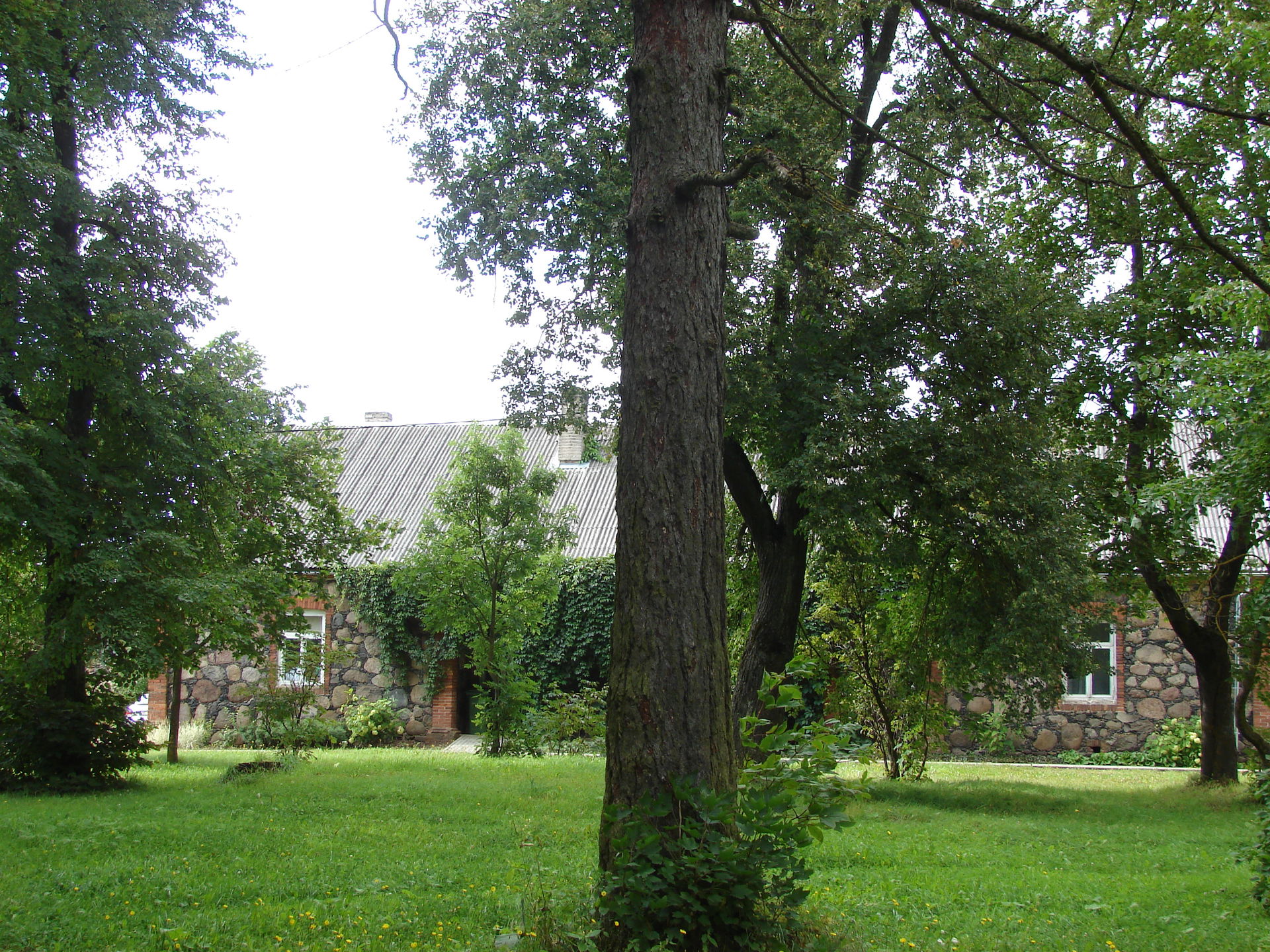 Viļānu muižas parks un saimniecības ēka, Viļāni, Viļānu novads,…
