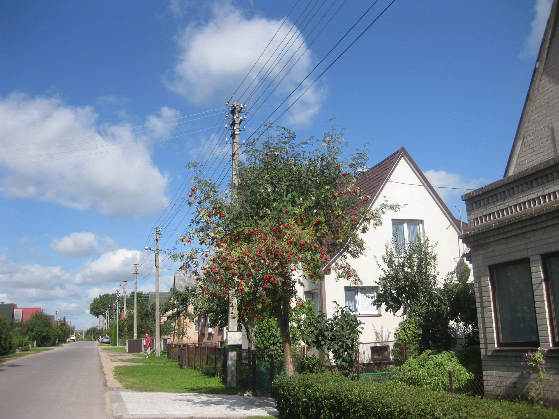 Garliava, Lithuania
