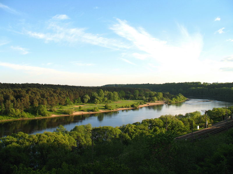 Panemunės šilas, Kaunas.