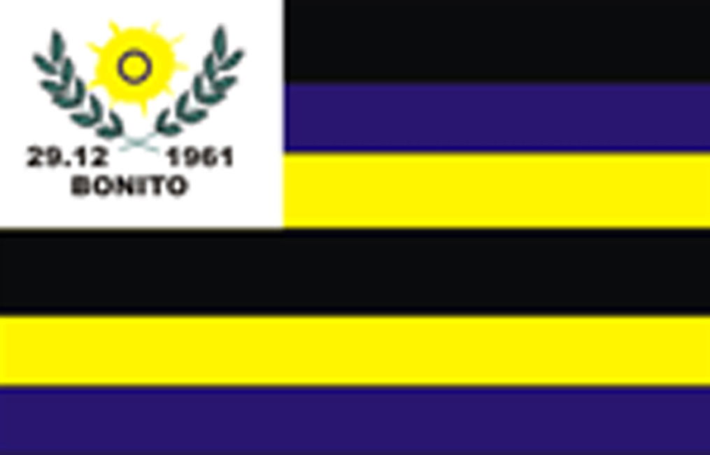 Flag of Bonito (Pará, Brazil)[1]