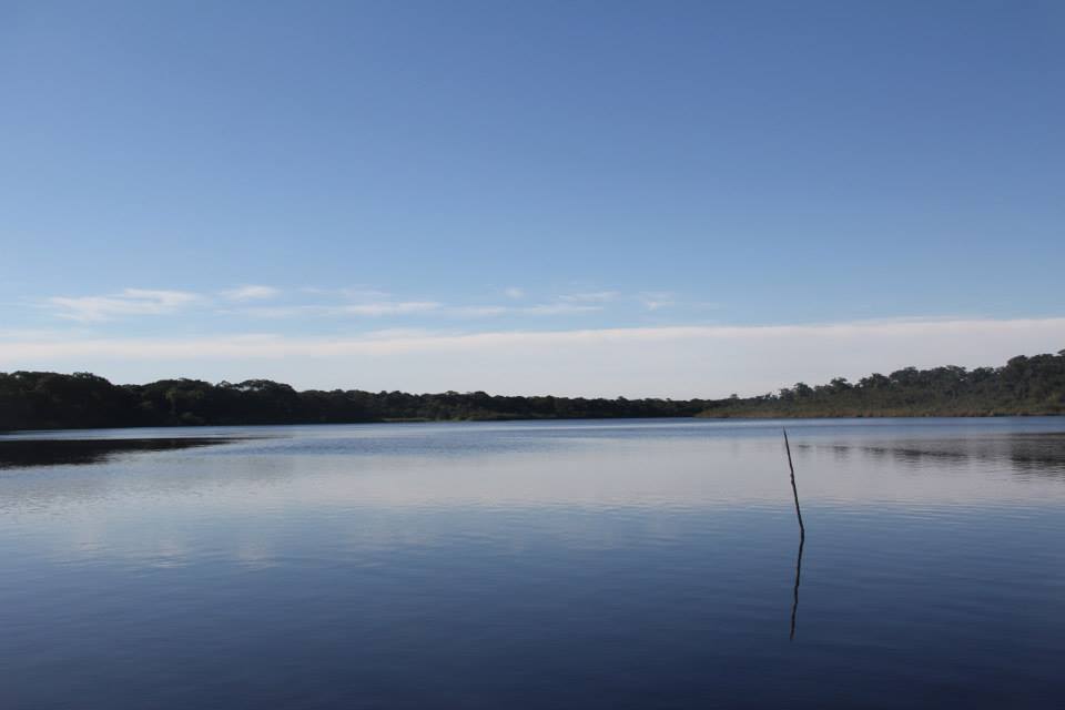 Foto para divulgação por Dalila Dalprat