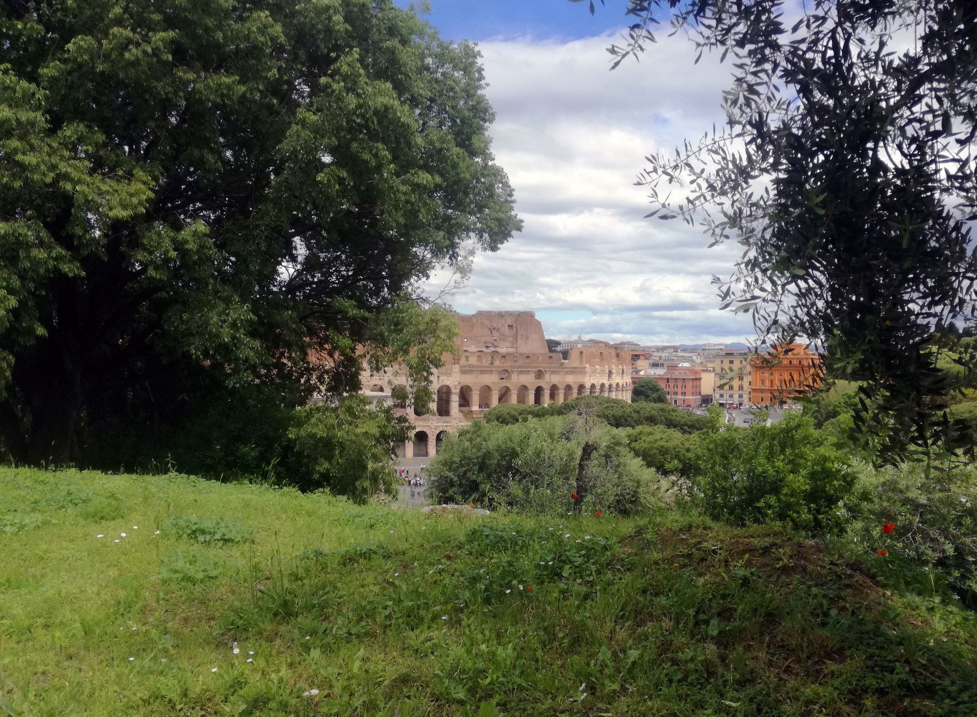 Hidden Colosseum from Palatine Hill