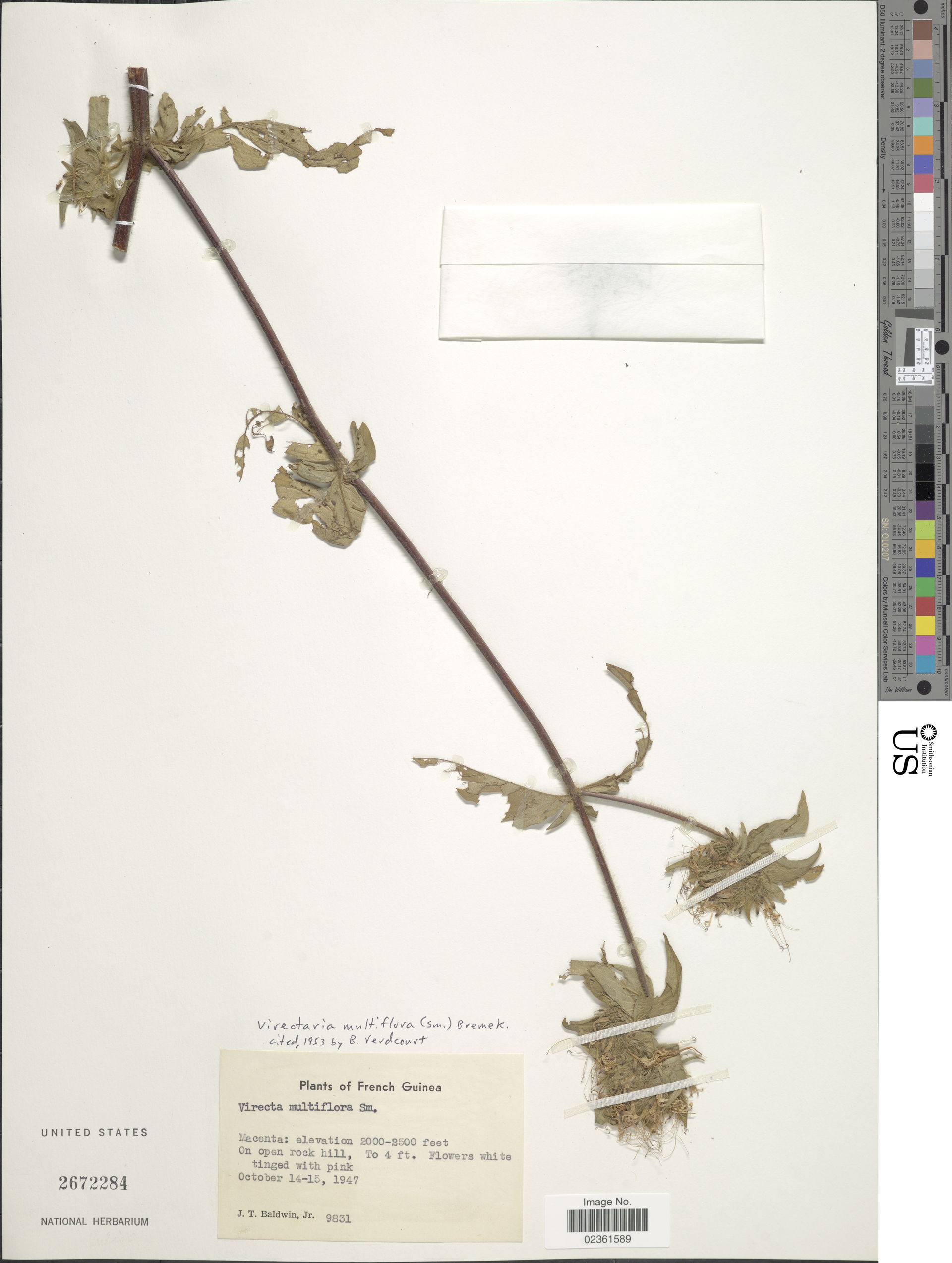 * Virectaria multiflora (Sm.) Bremek.
Object Details
Biogeograp…