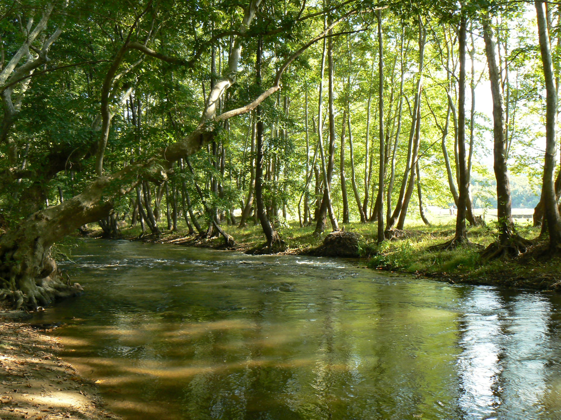 Strumeshnitsa River, Bulgaria