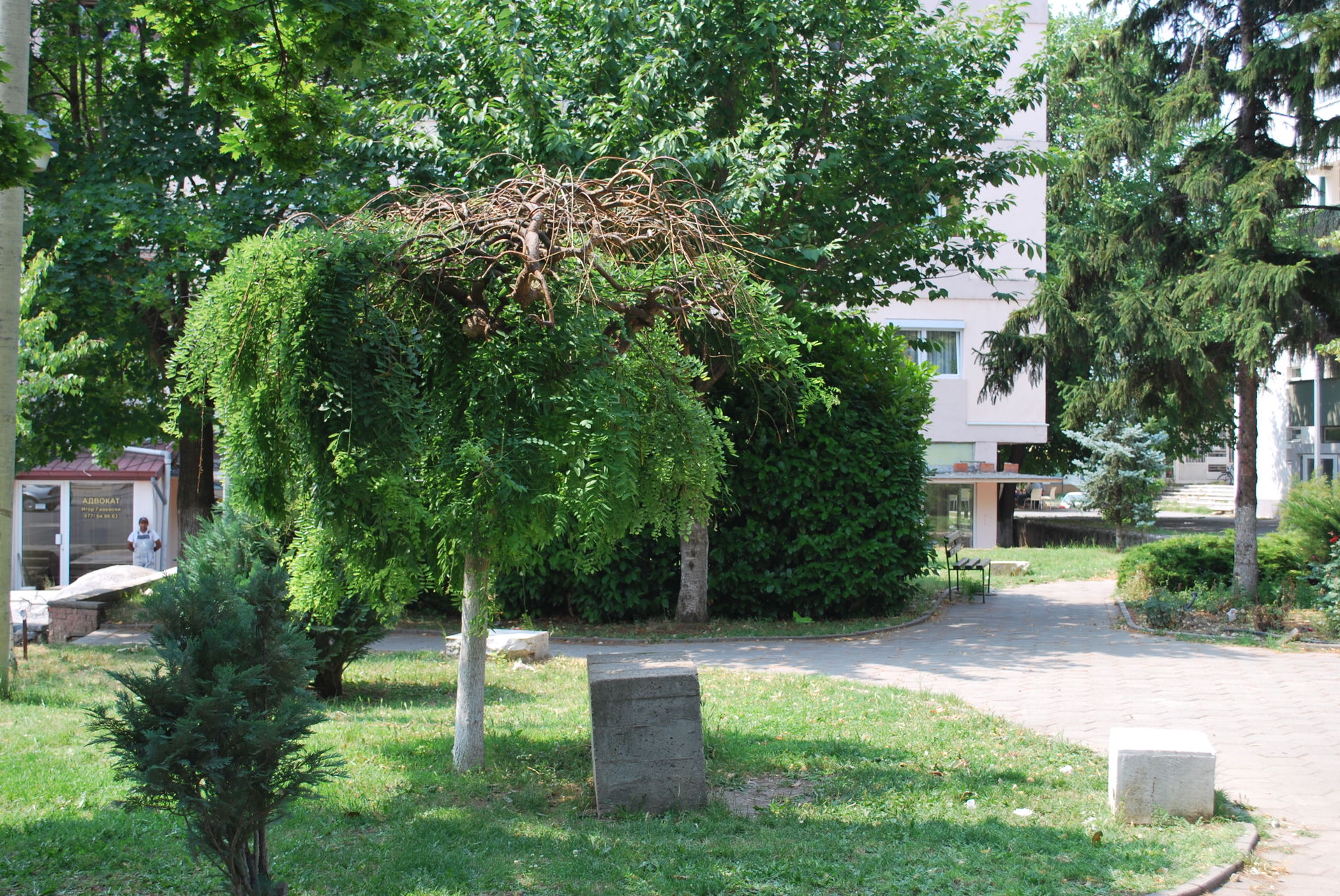 ISveti Nikole, Macedonia