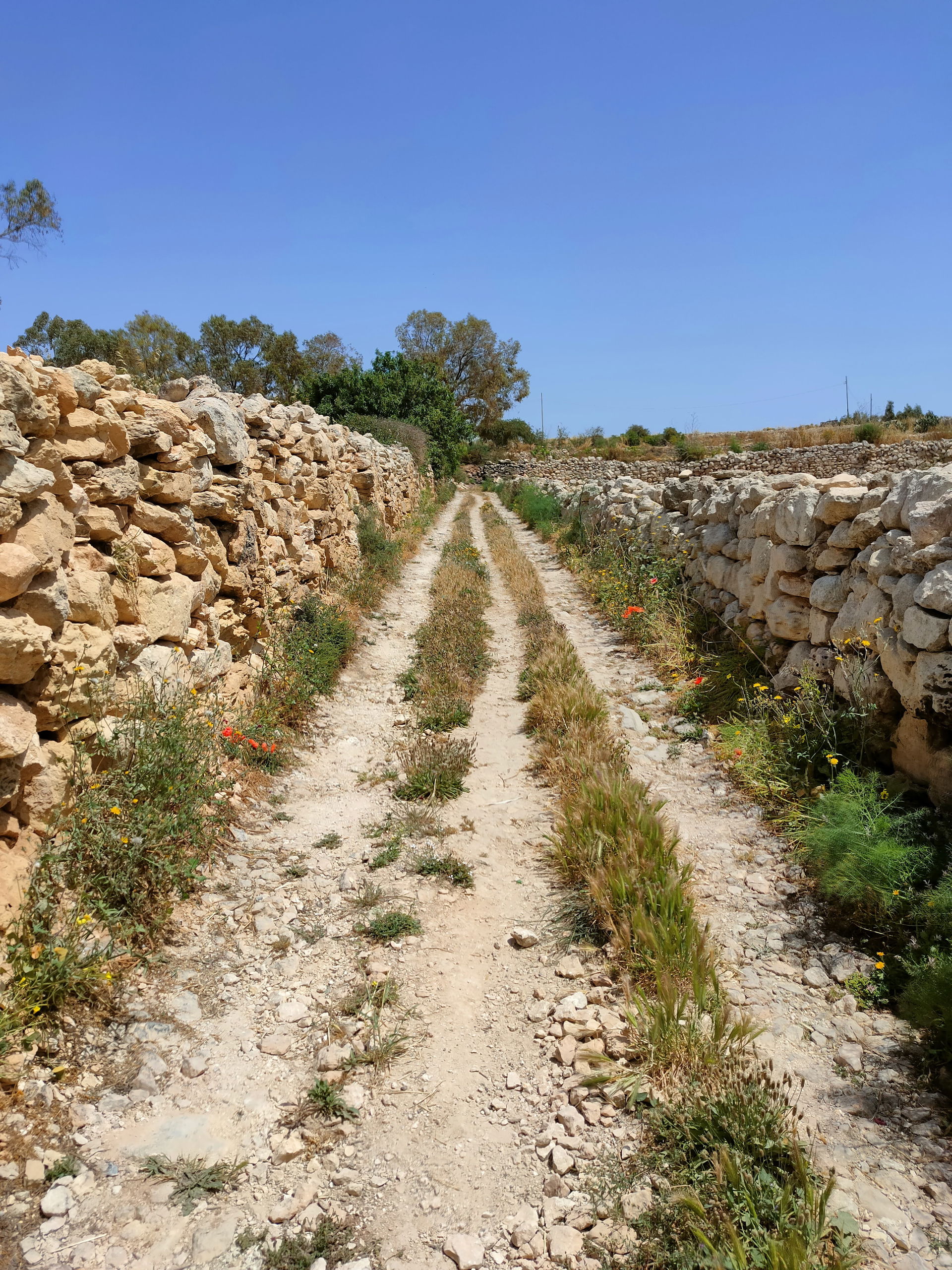 Wied Żembaq is a valley located near the village of Birżebbuġa,…