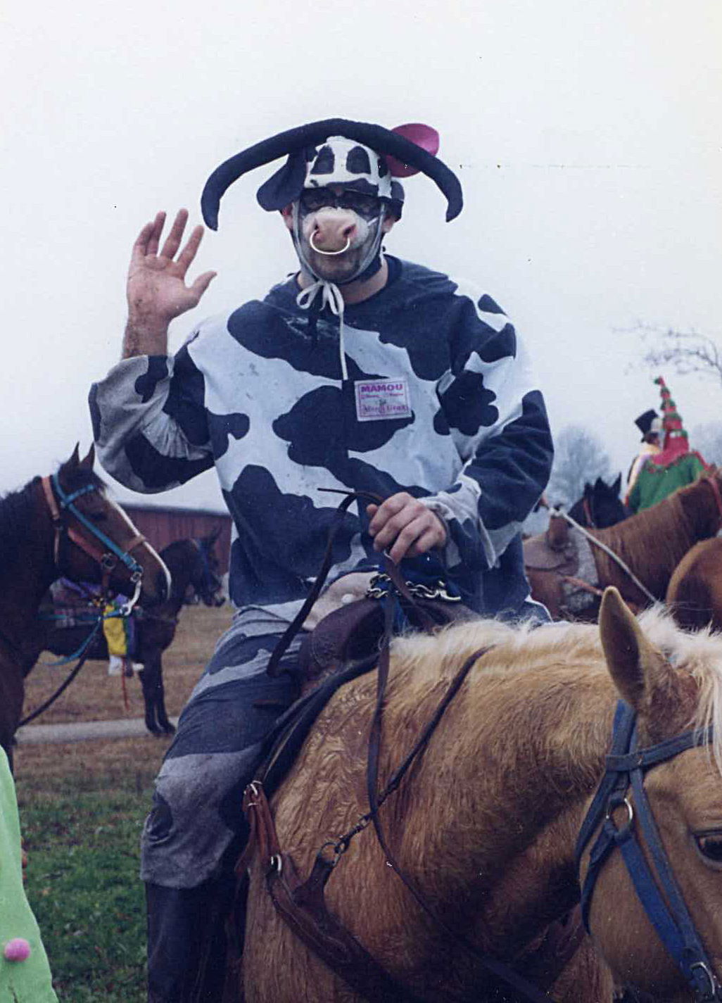 Courir de Mardi Gras costumed horse rider, Mamou, Louisiana.