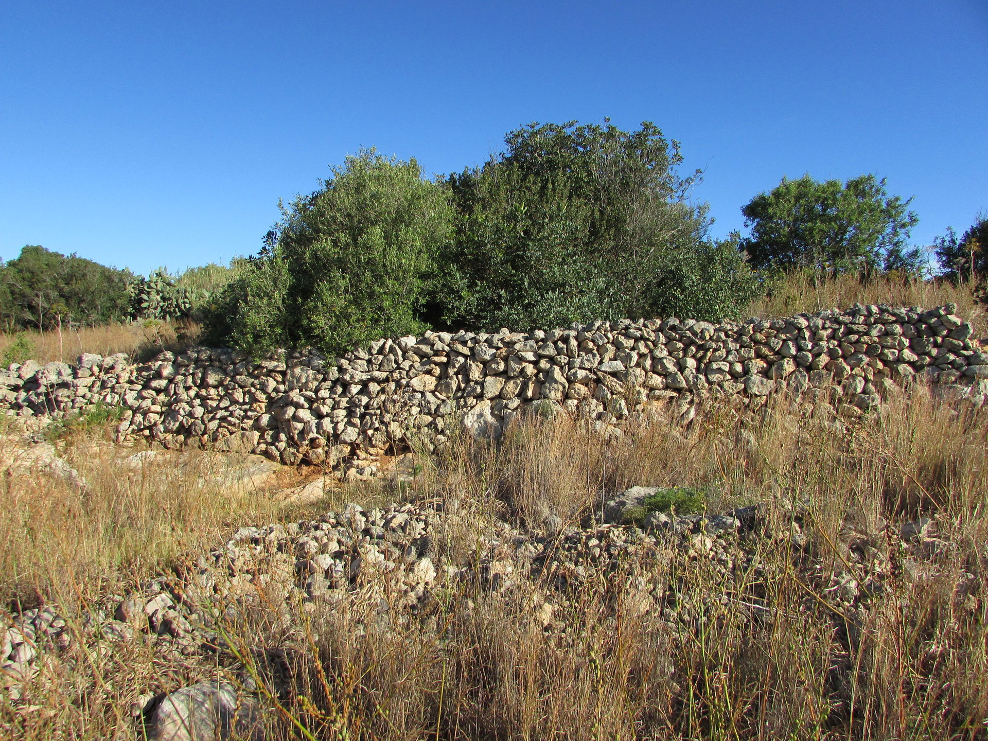 Dry stone wall in Mgarr