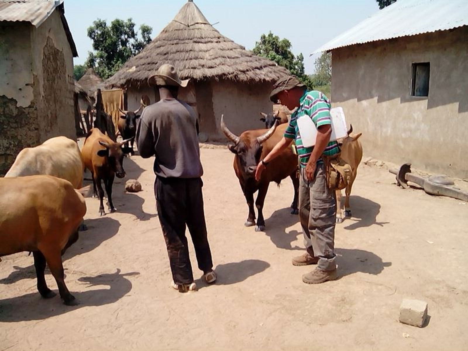 Mandiana Prefecture, Guinea