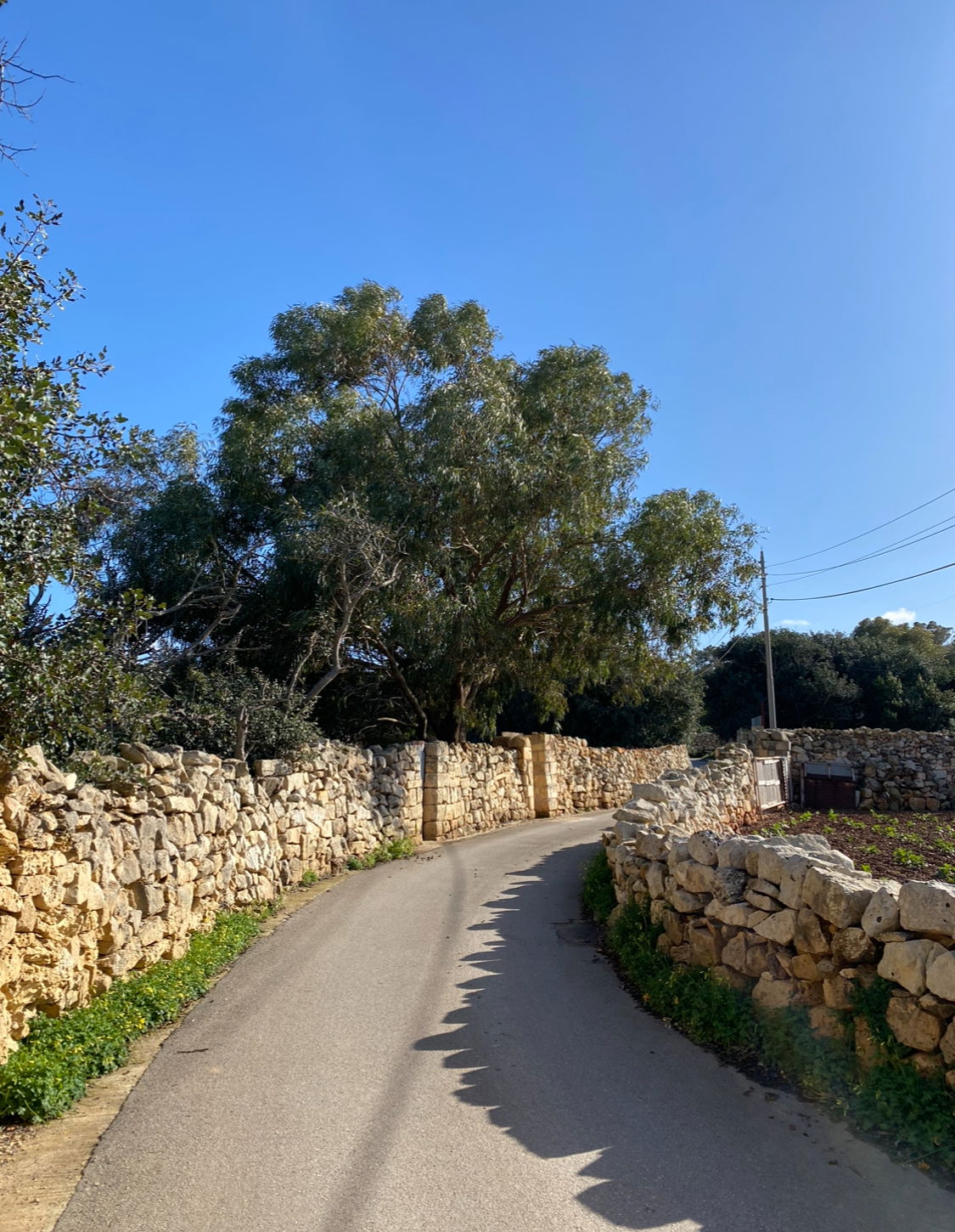 A road in Qrendi in Malta