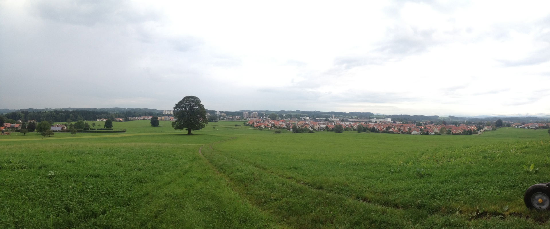 Wangen im Allgäu