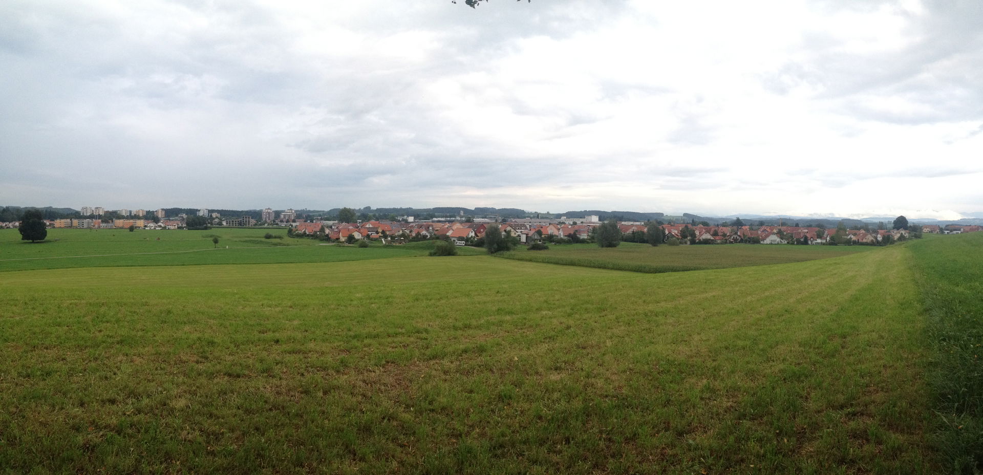 Wangen im Allgäu