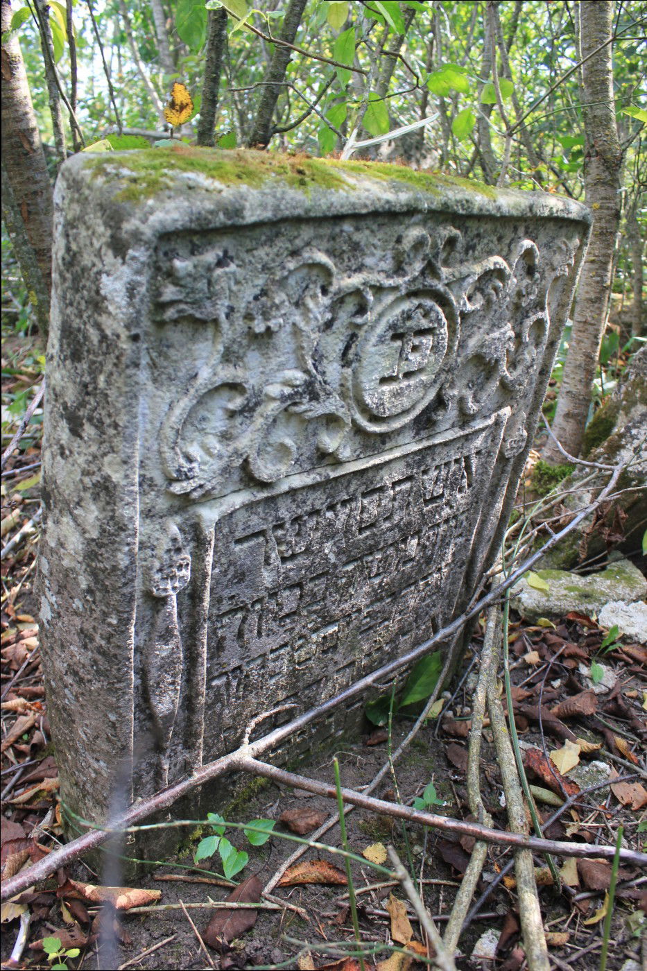 Tomb stones in the older part of the jewish cemetery in Briceni…