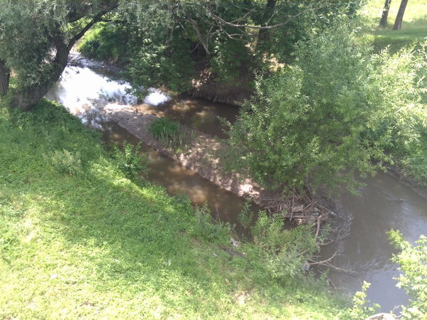 Camenca
