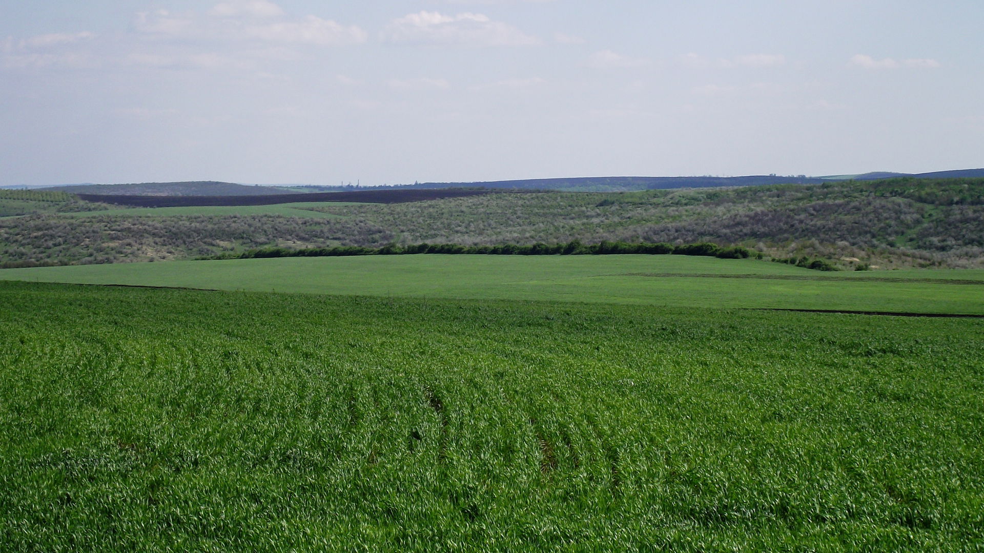 Cimișlia District, Moldova