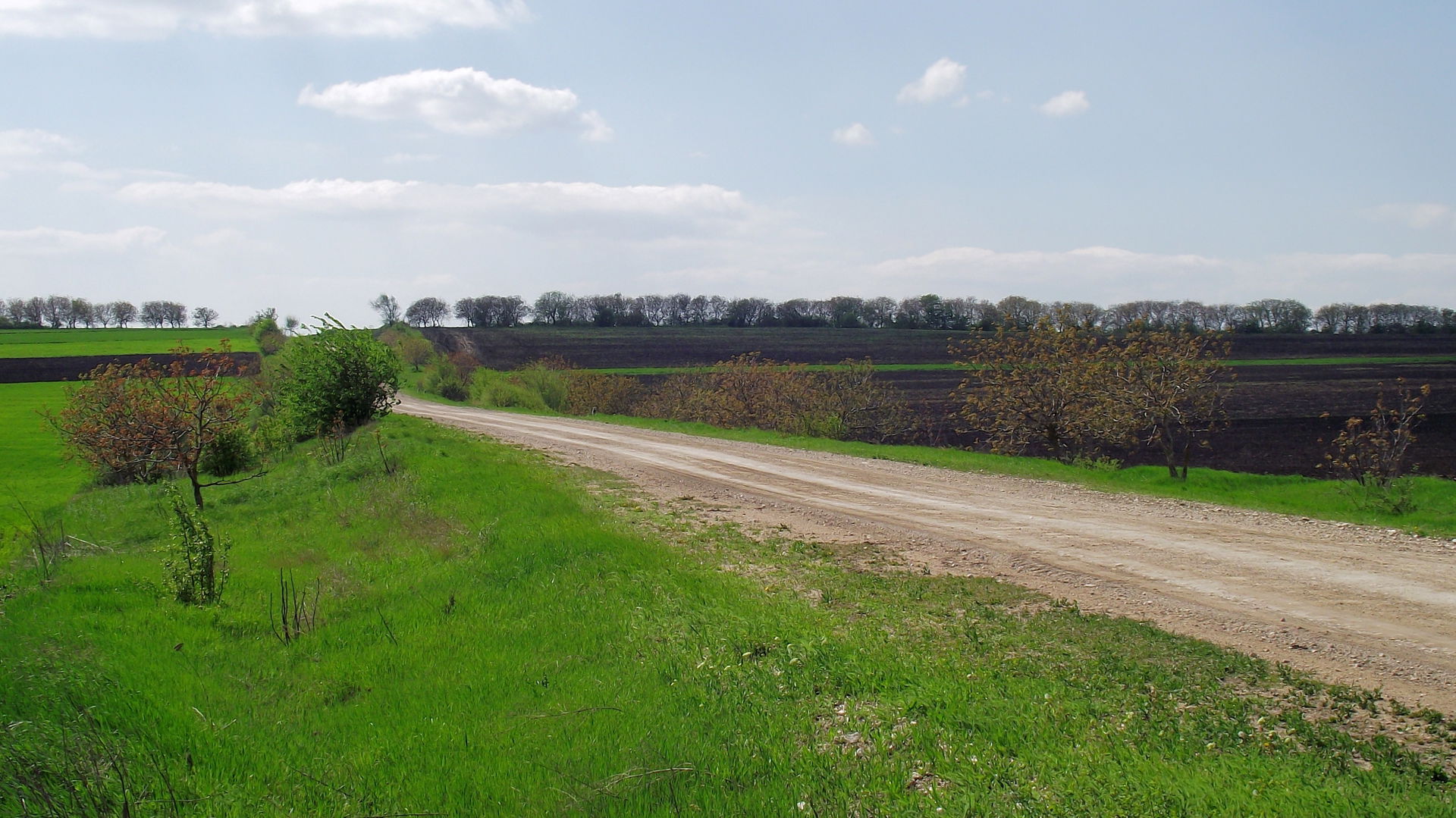 Cimișlia District, Moldova