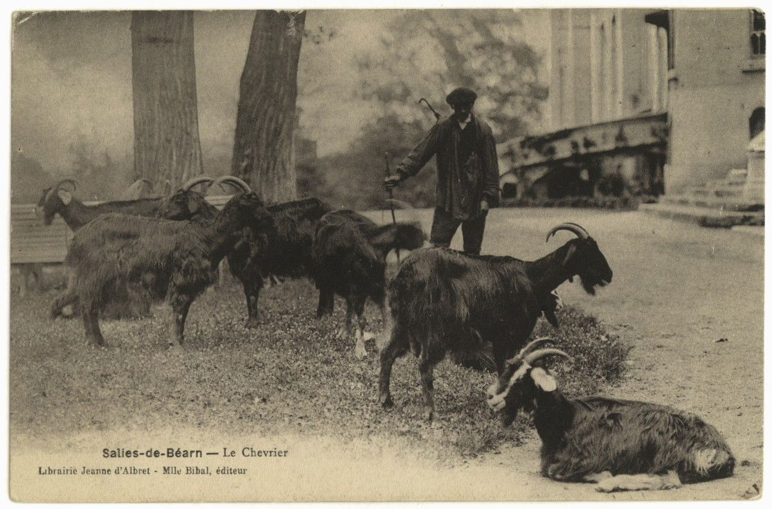 Salies-de-Béarn Le Chevrier