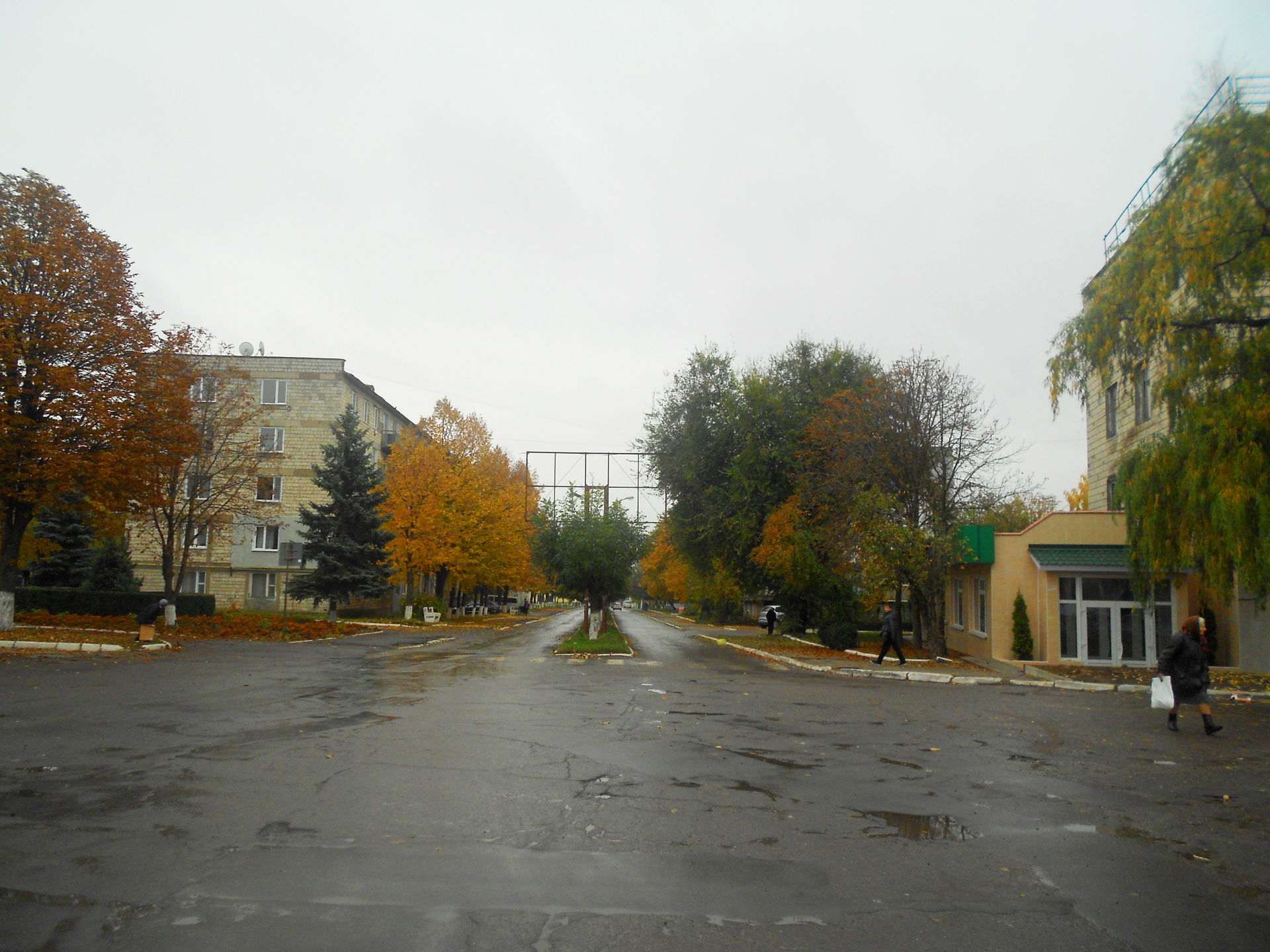 Bulevardul Dacia, Florești