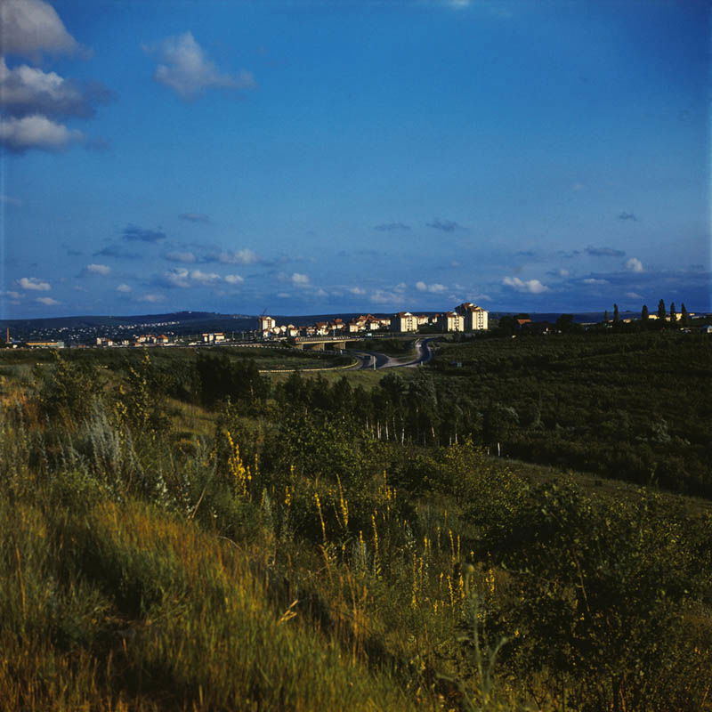 Ialoveni (1990).