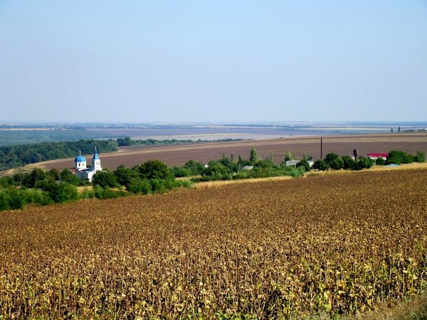 Rezina