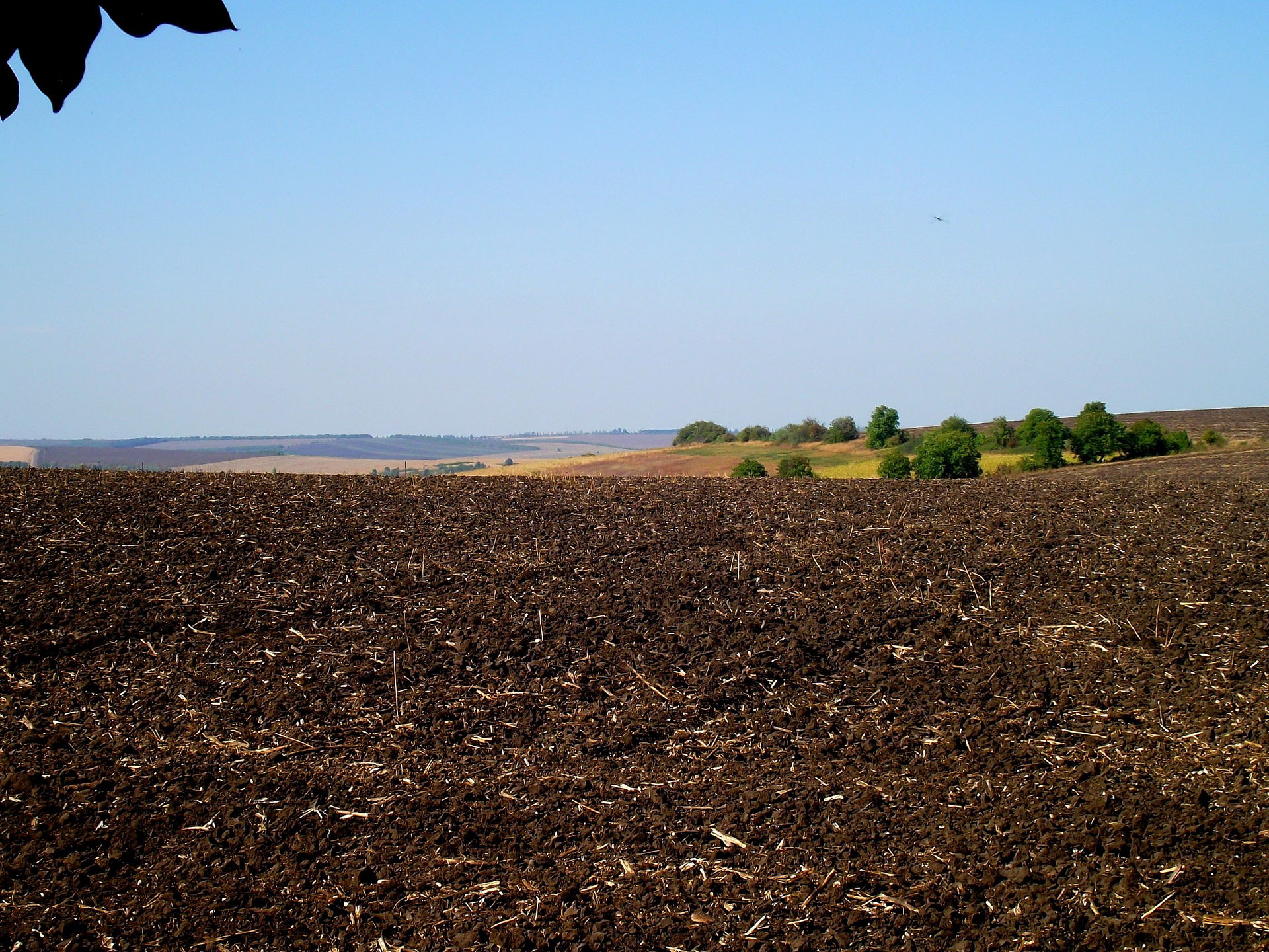 Rezina, Moldova